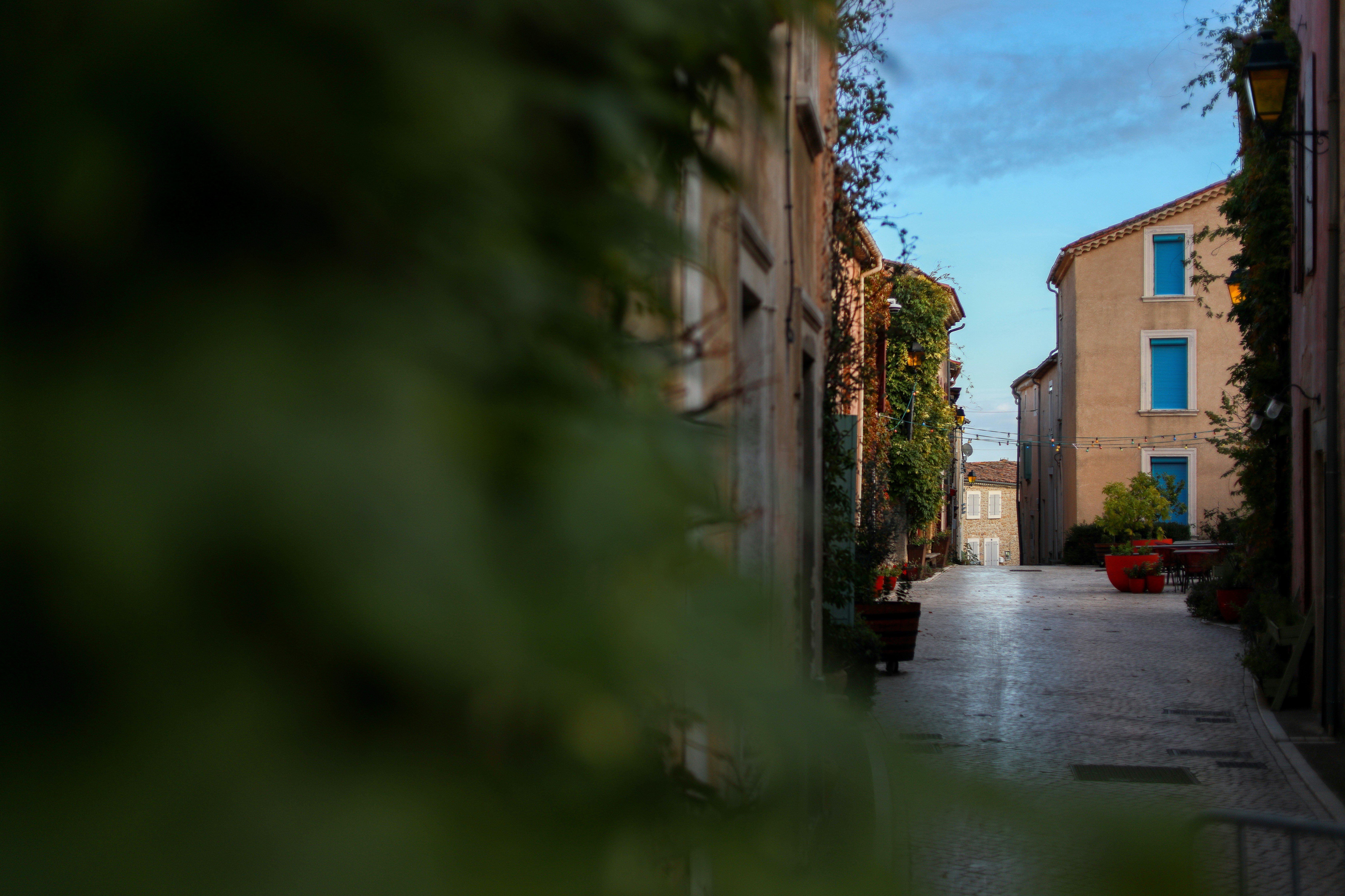 a narrow street with buildings and trees on both sides