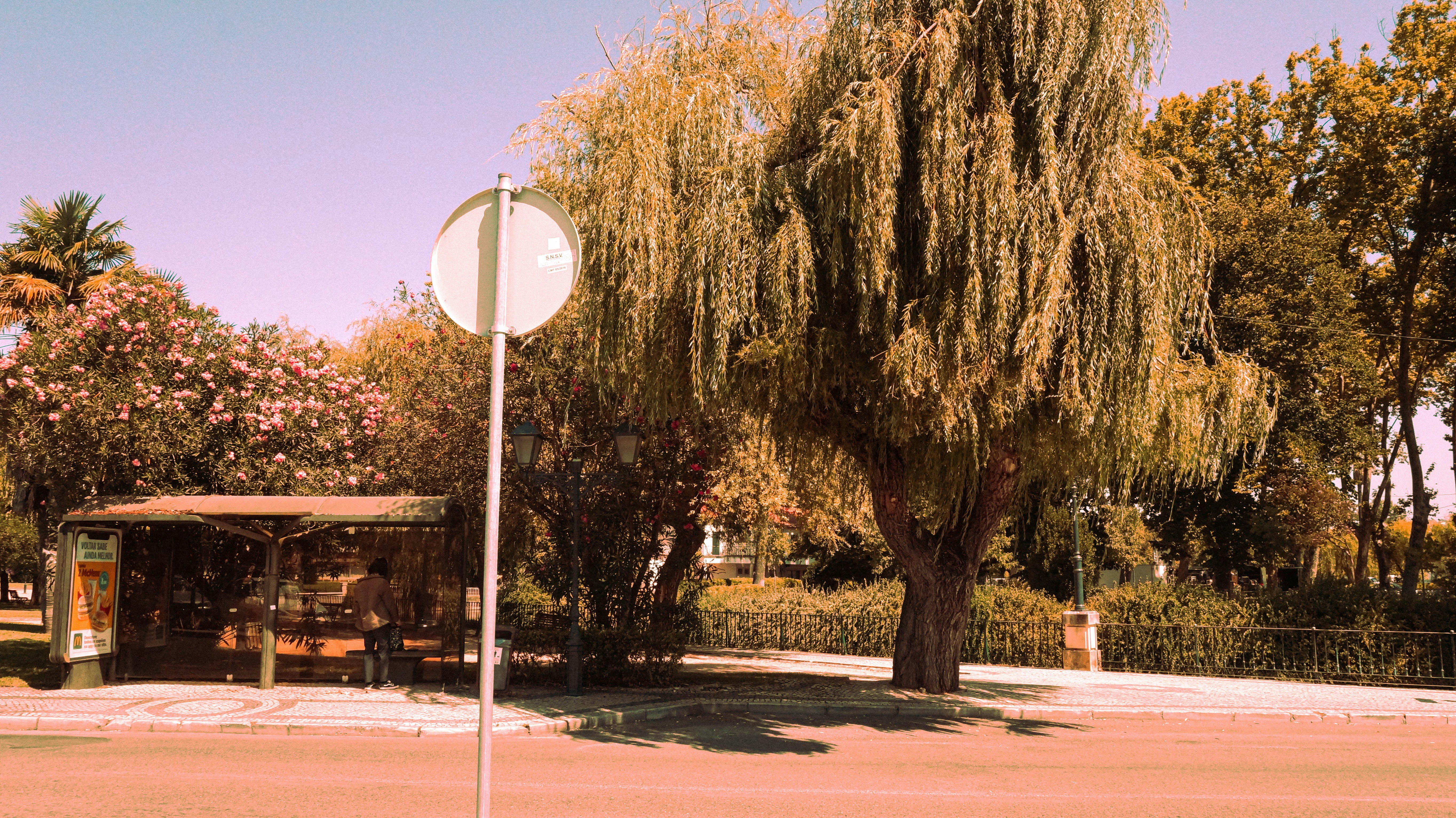 7º bajada