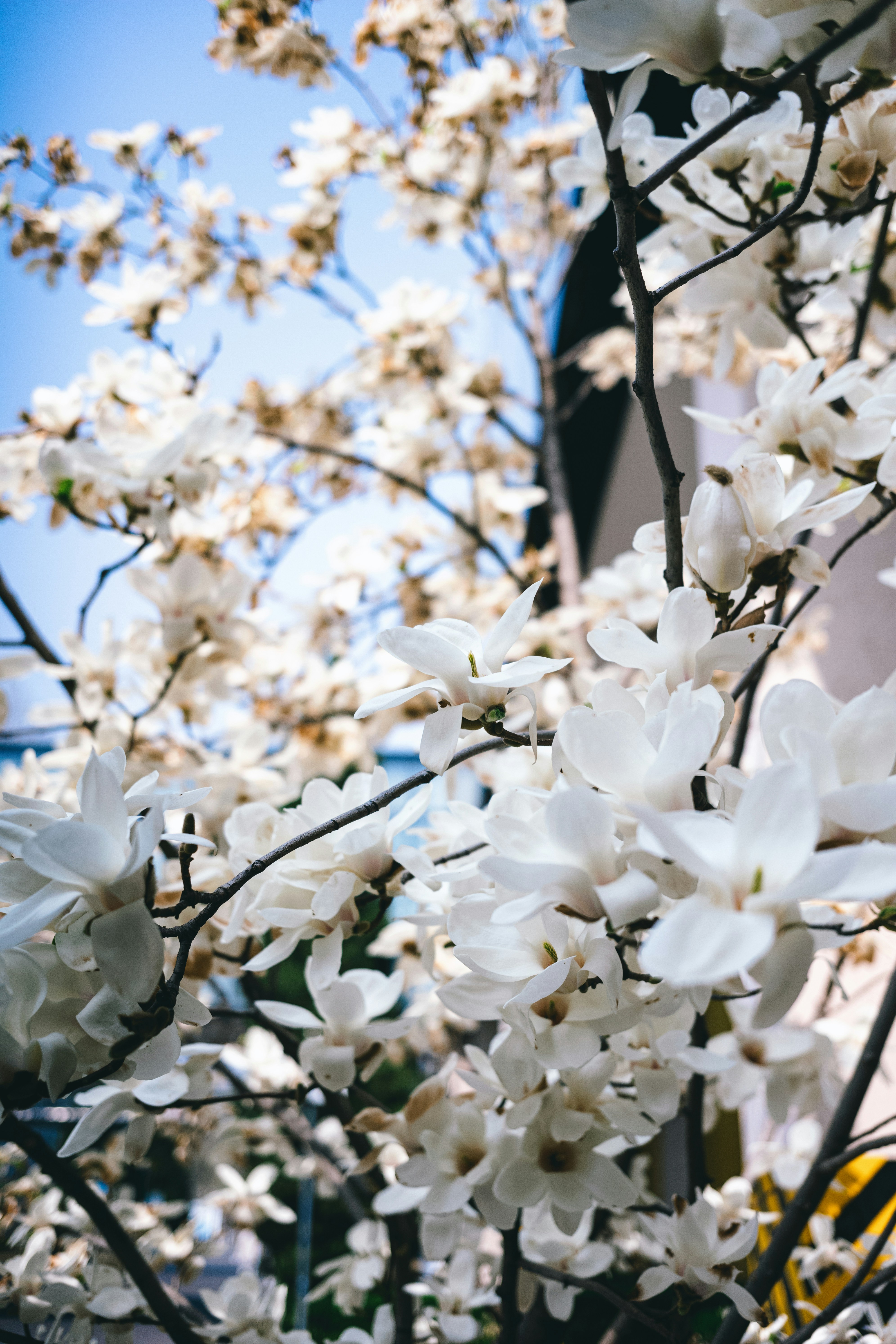 Photo by tommaomaoer