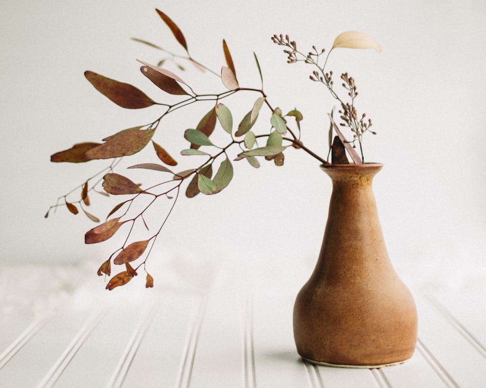 a vase with a plant in it sitting on a table