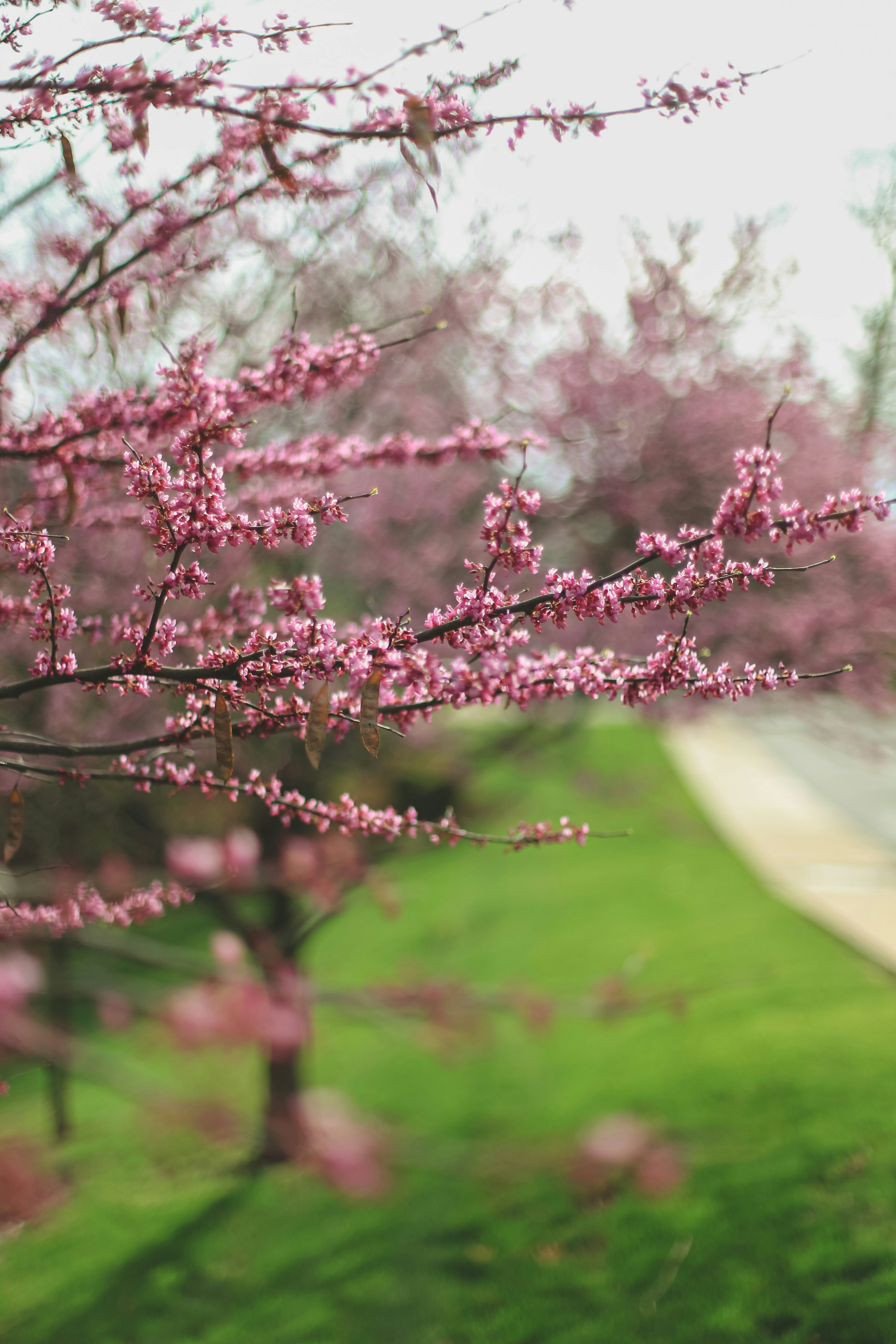 Photo by jessicalfadel