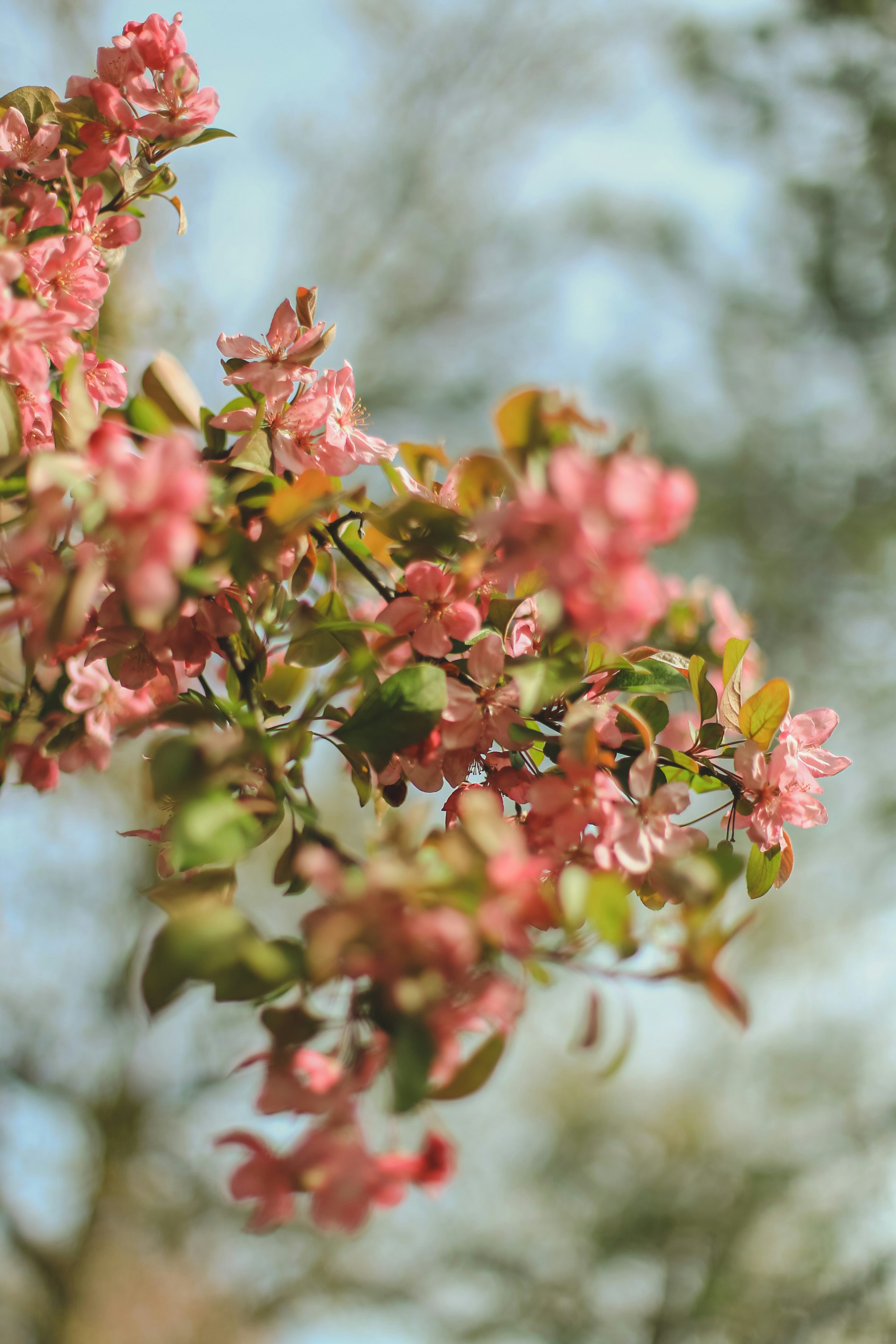 Photo by jessicalfadel