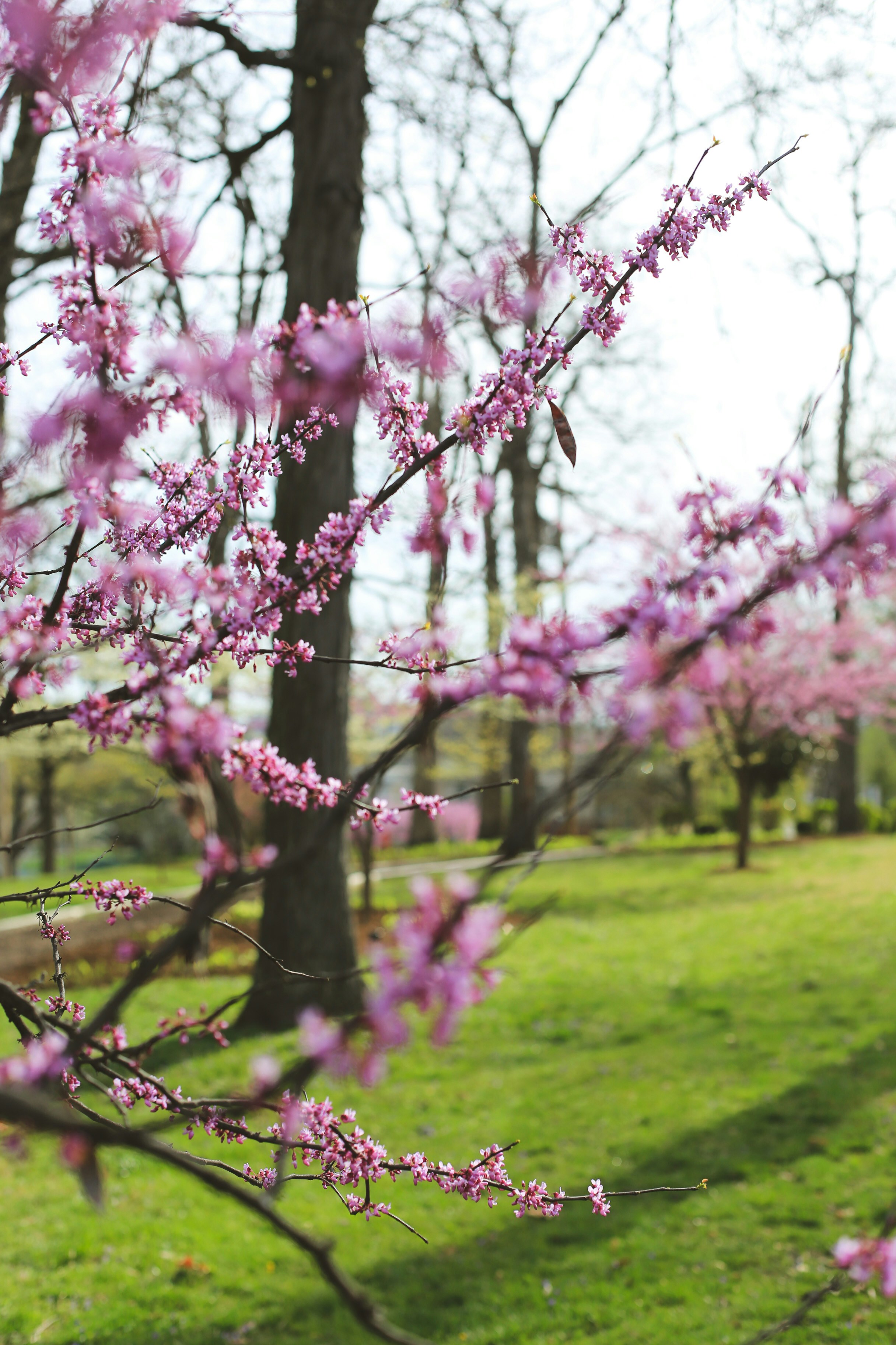 Photo by jessicalfadel