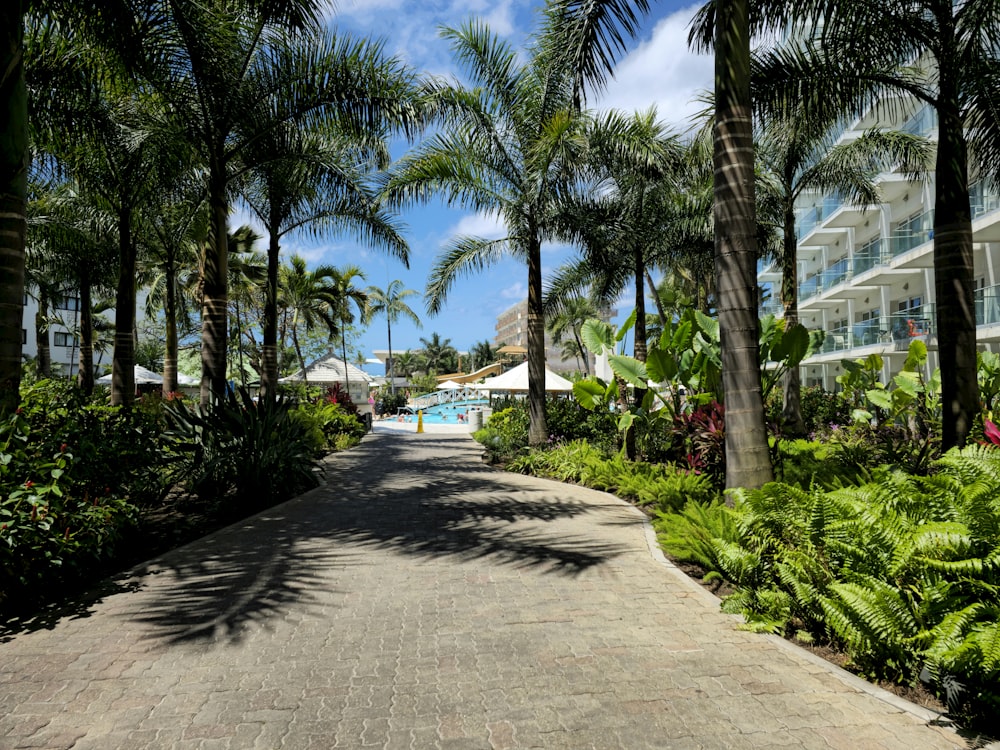 a walkway lined with palm trees next to a swimming pool