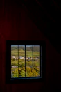 View from the window showing the peaceful rural landscape surrounding the hotel.