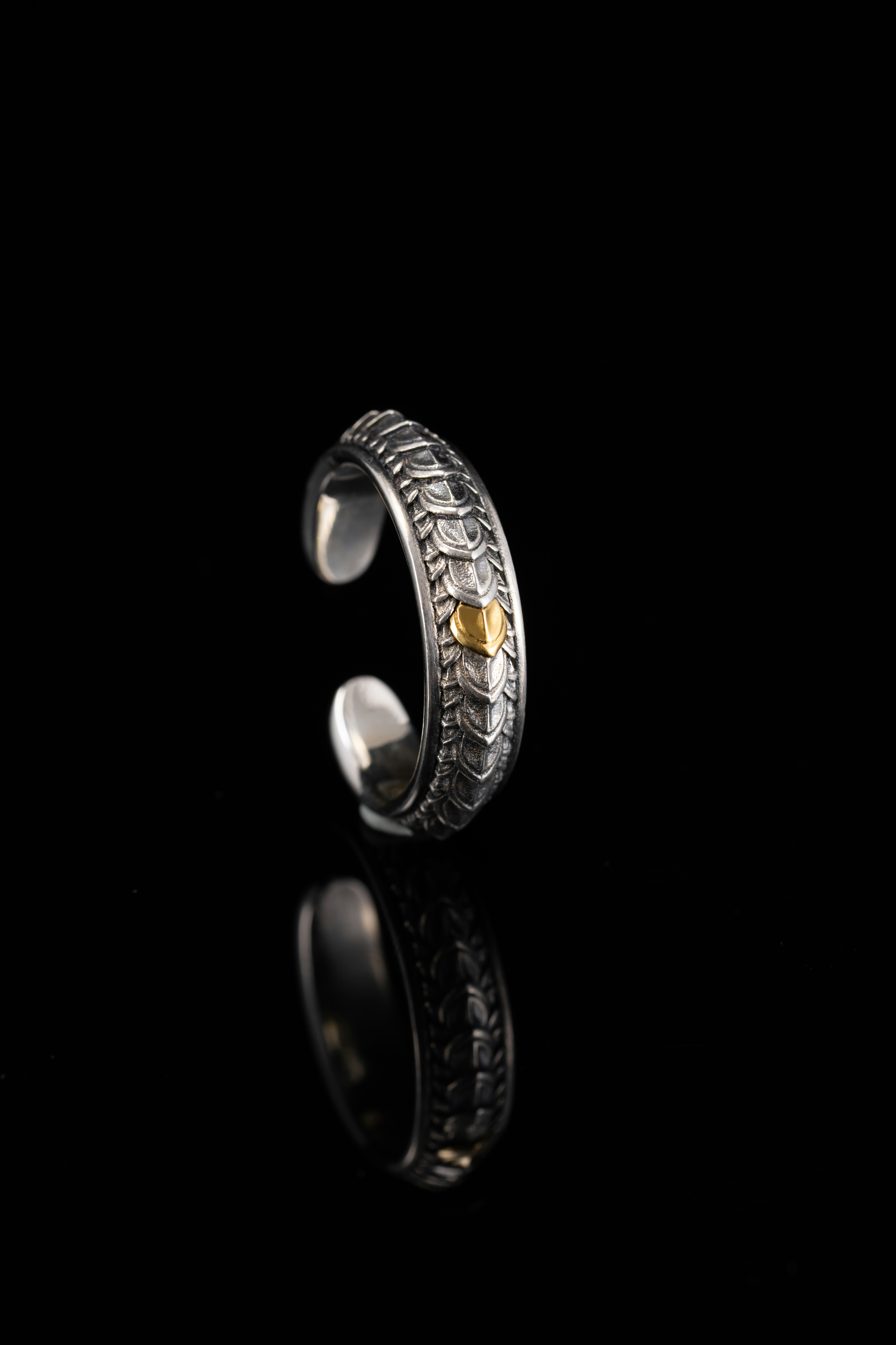 Photo by coppertistwu