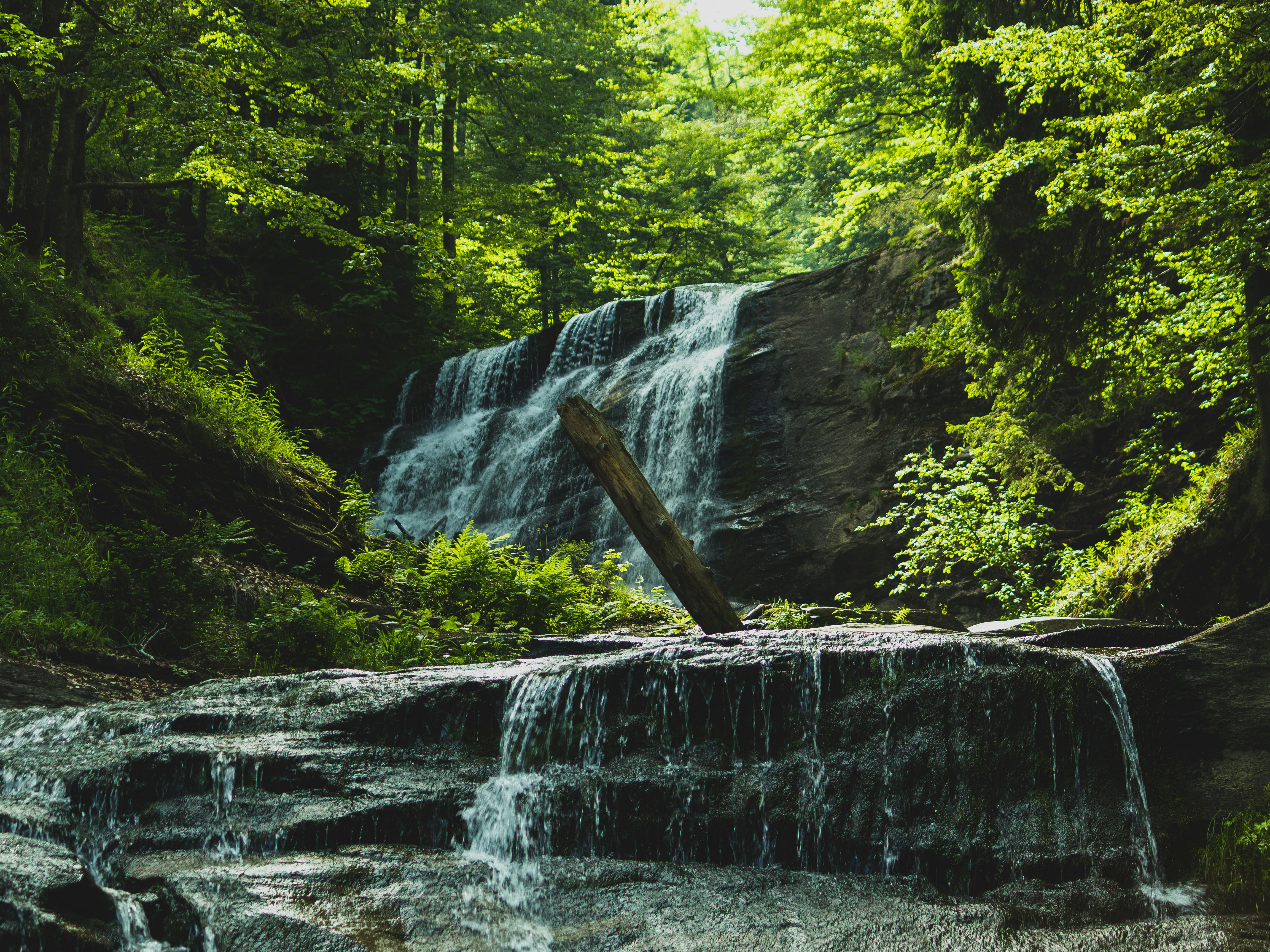 Photo by sporisevicphotography