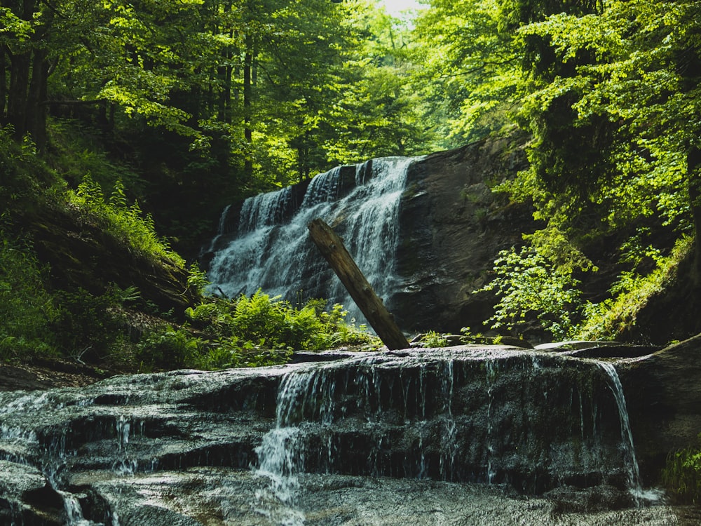 a waterfall in the middle of a forest