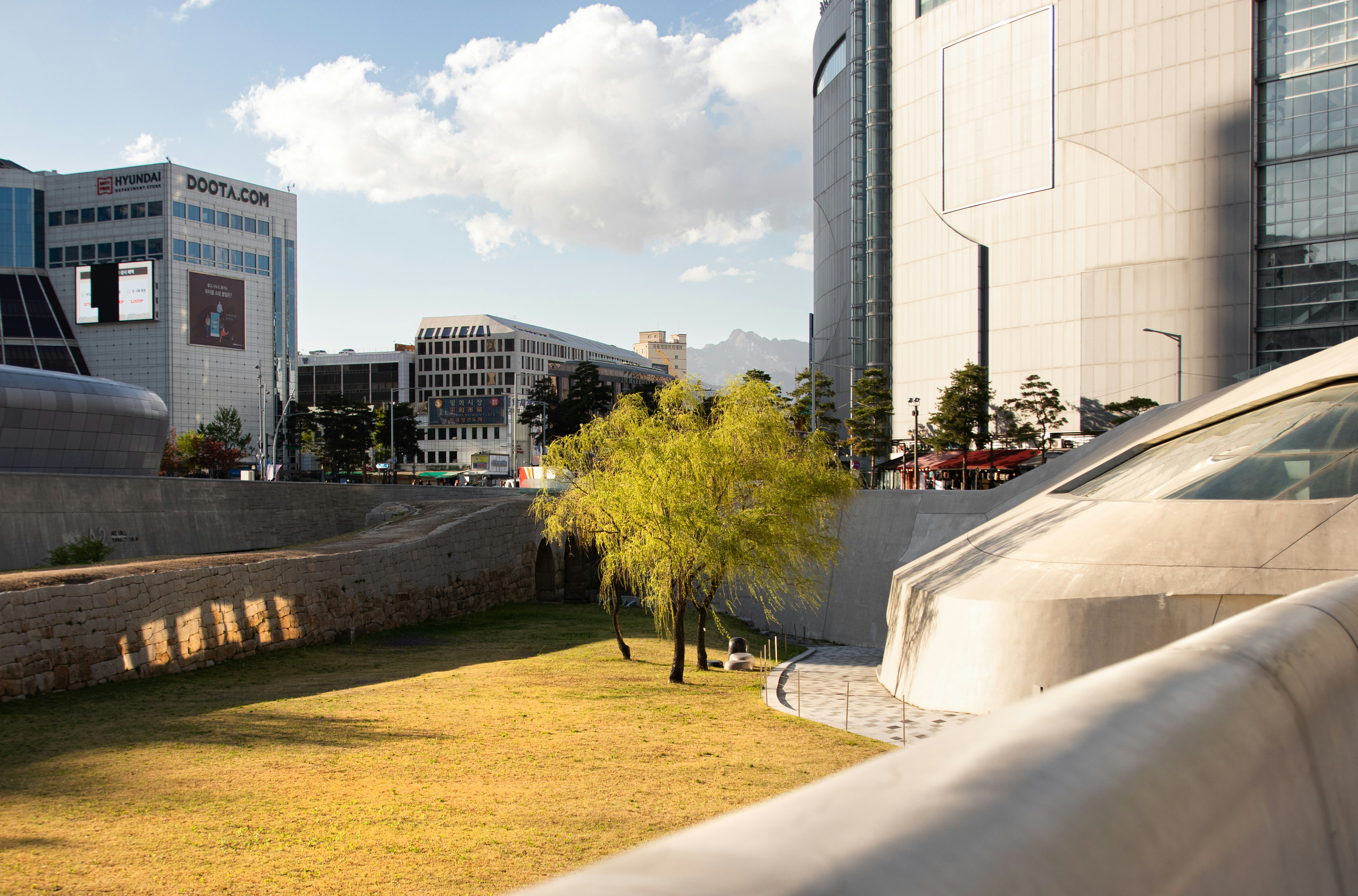 a tree in a grassy area next to a building