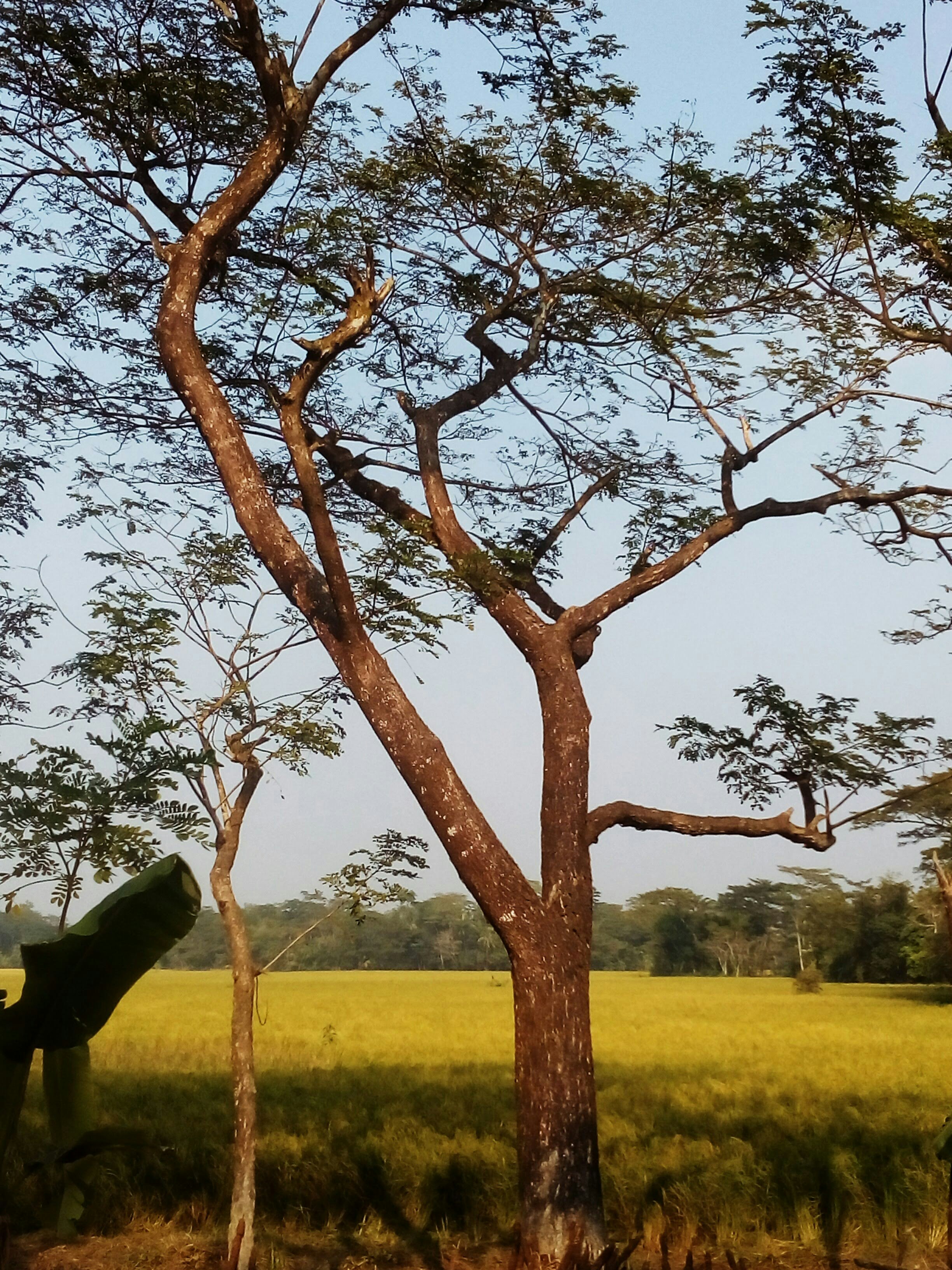 Photo by shadinnature