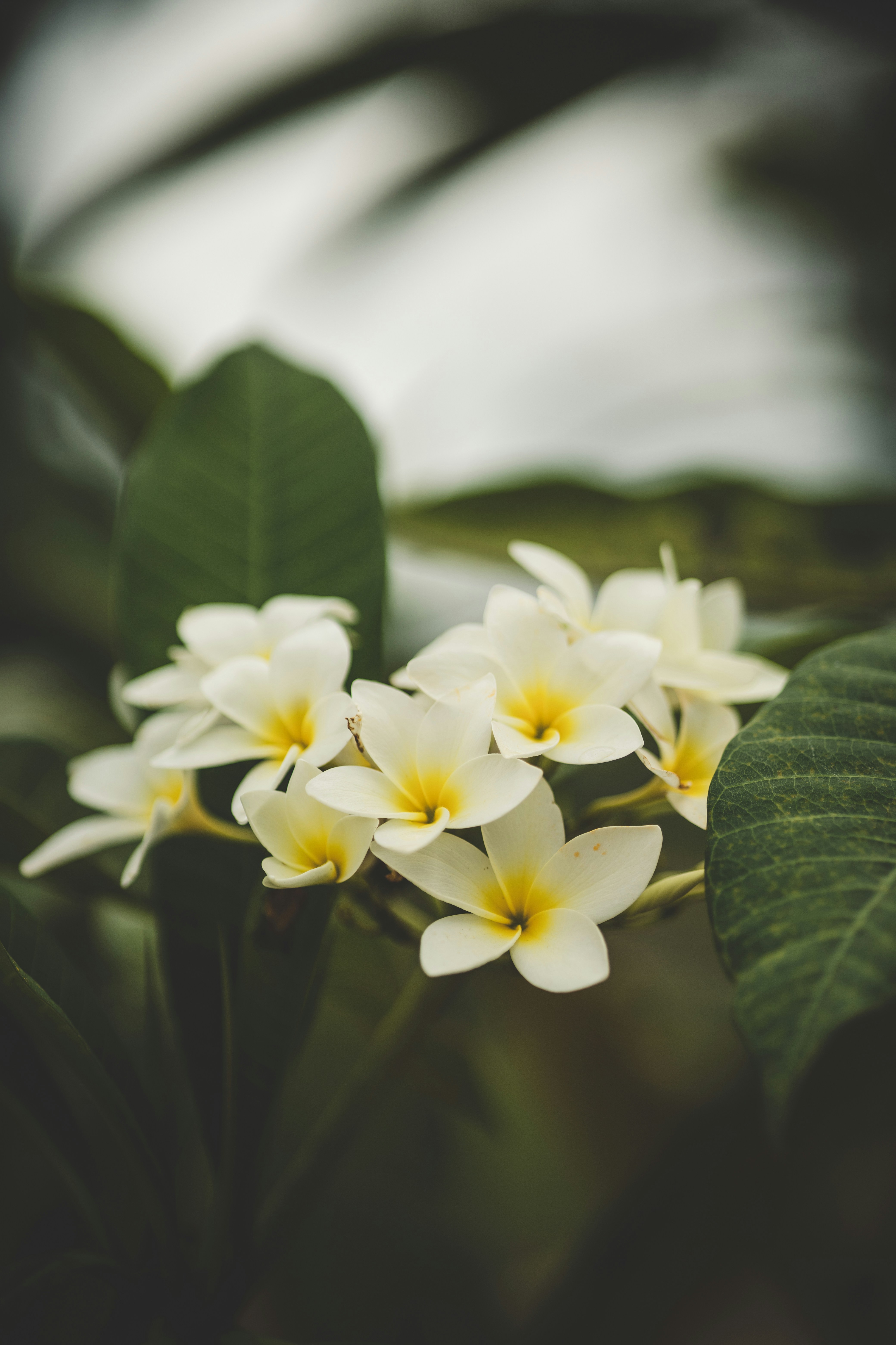 Photo by rrodriguesim