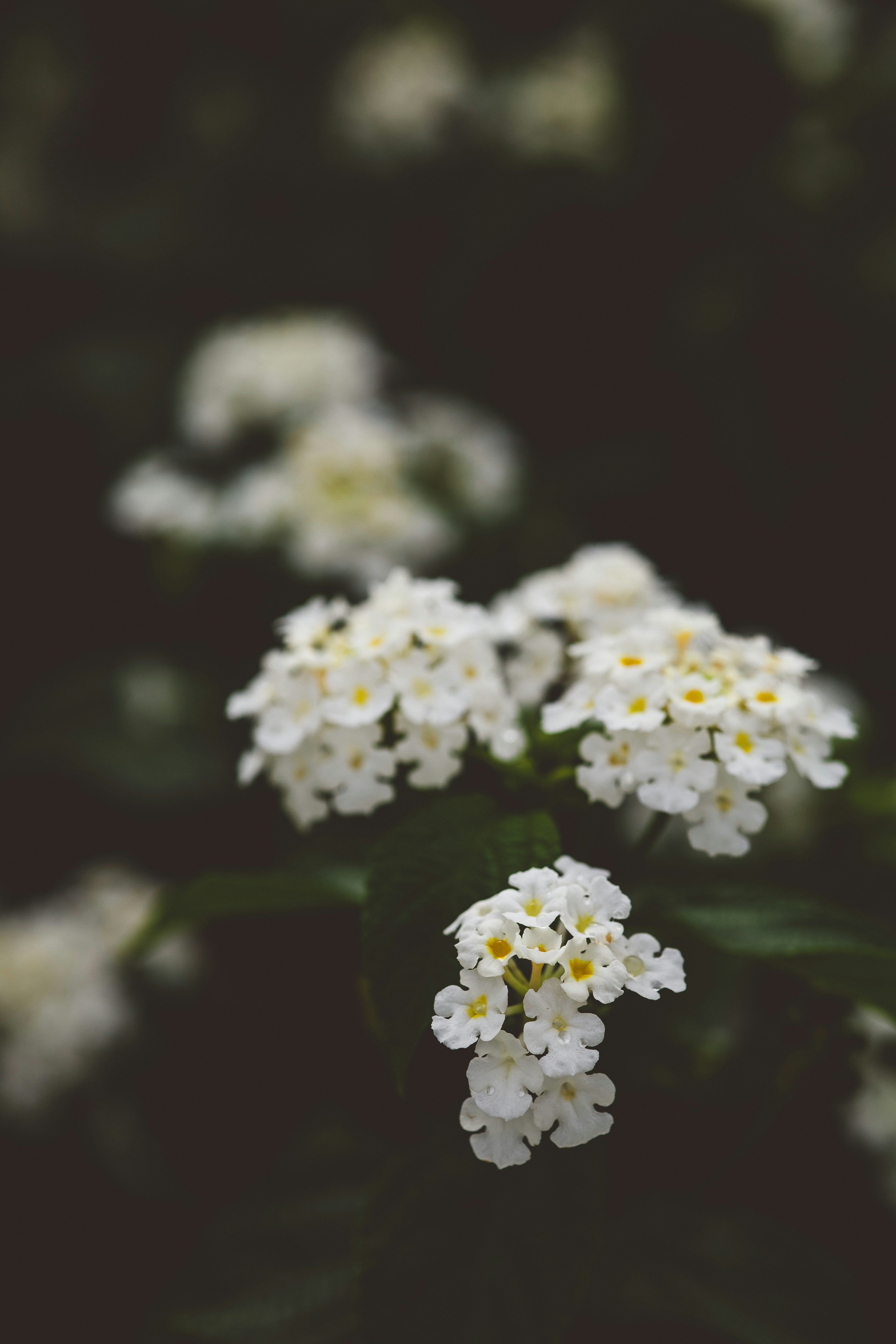 Photo by rrodriguesim