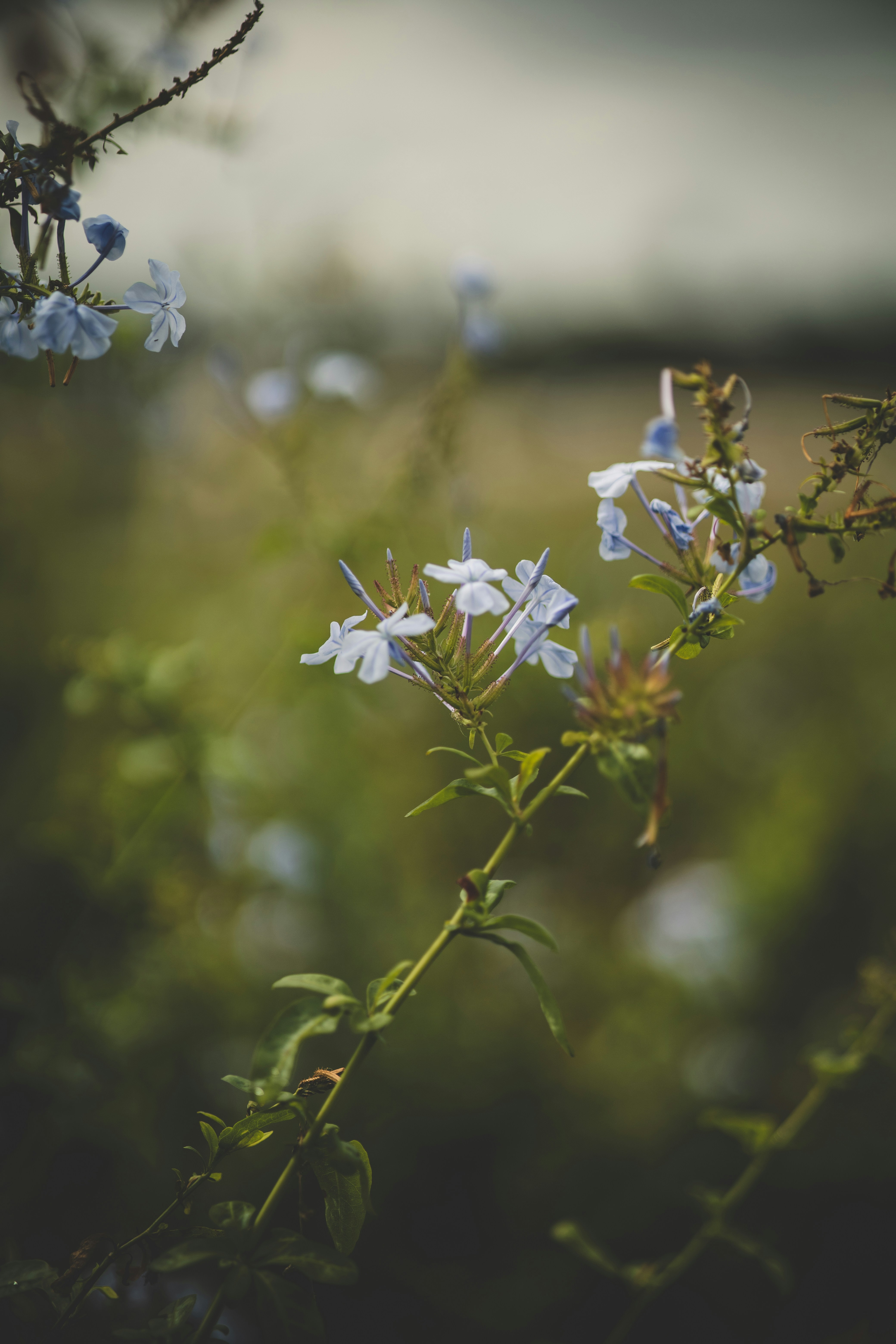 Photo by rrodriguesim