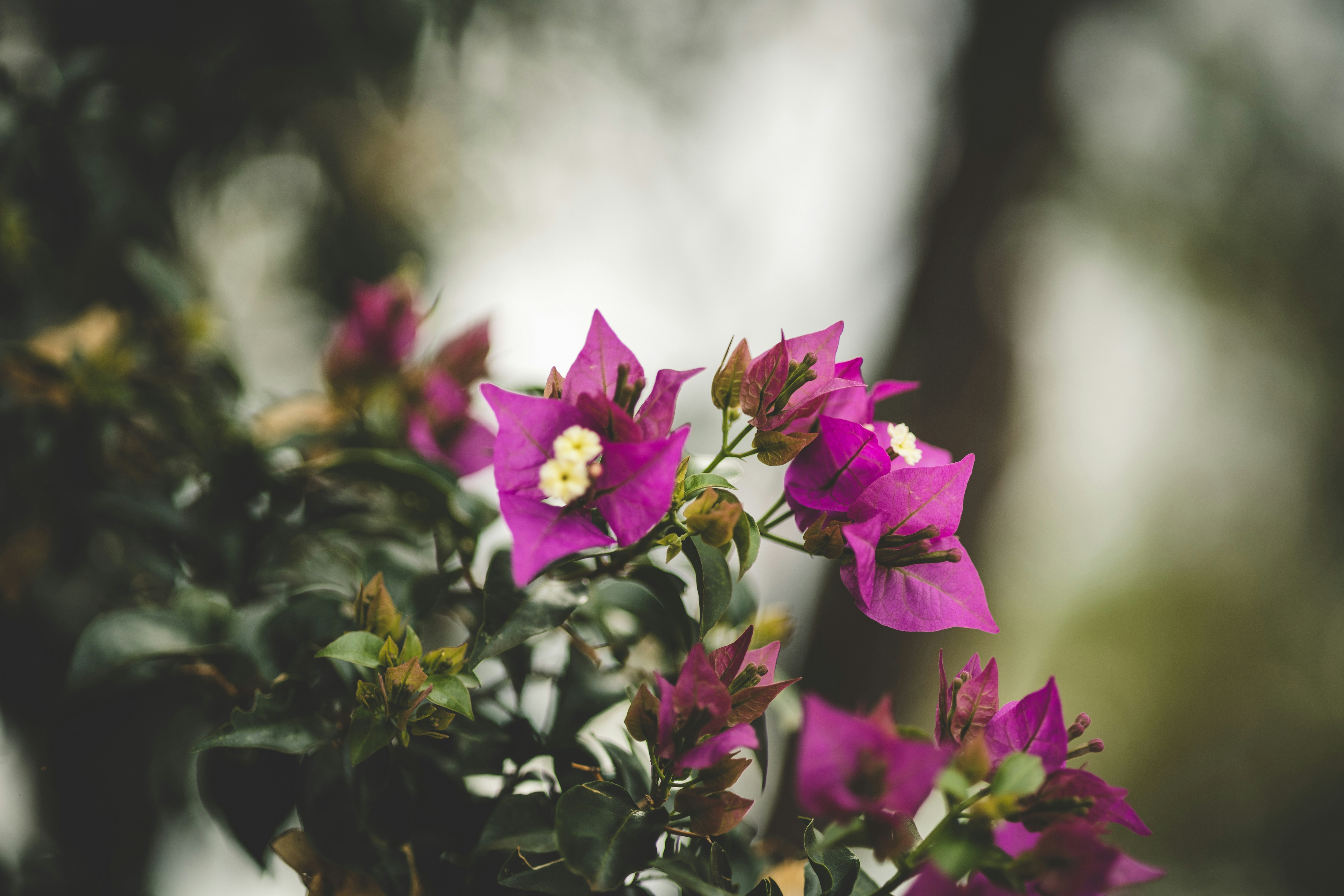 Photo by rrodriguesim