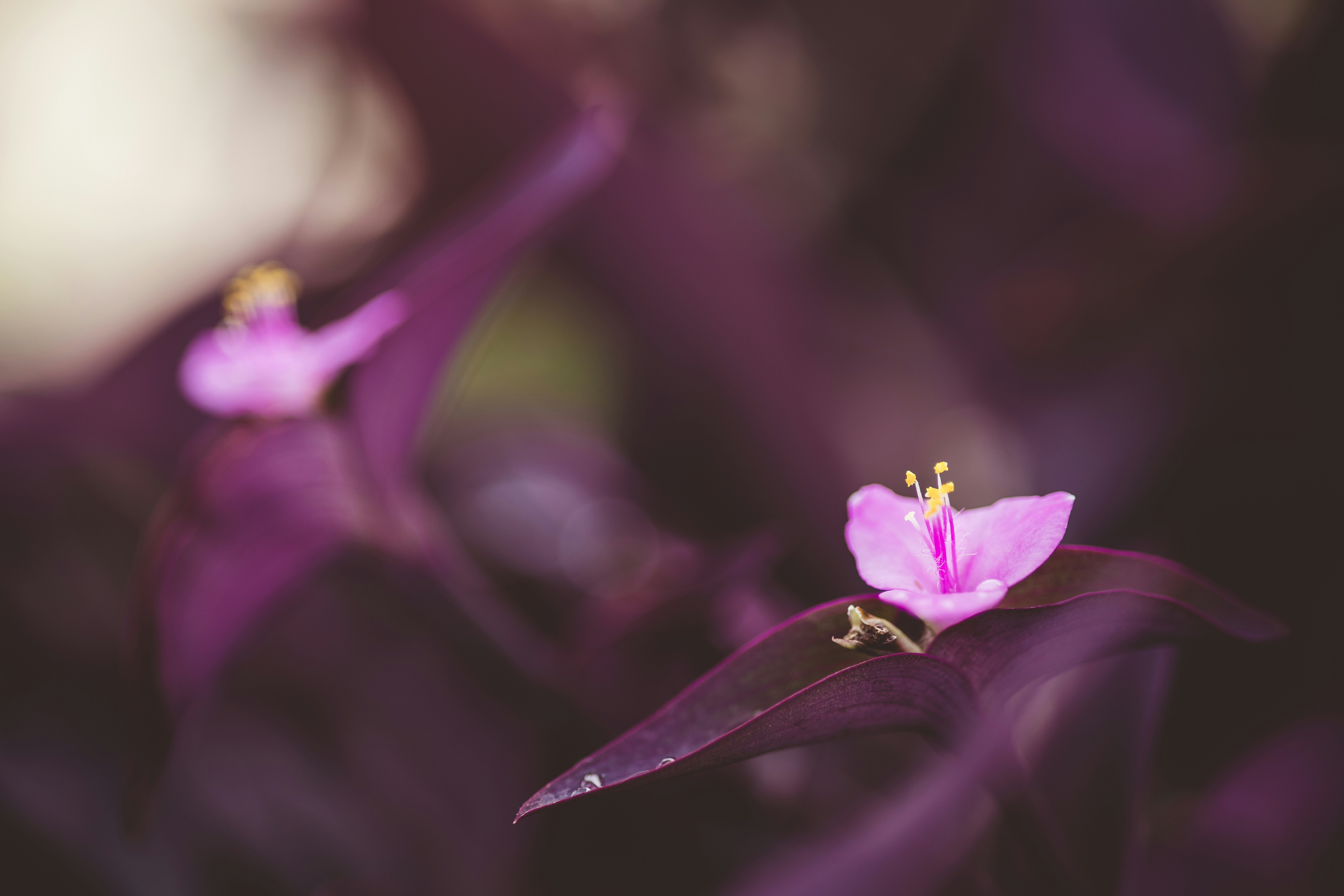 Photo by rrodriguesim