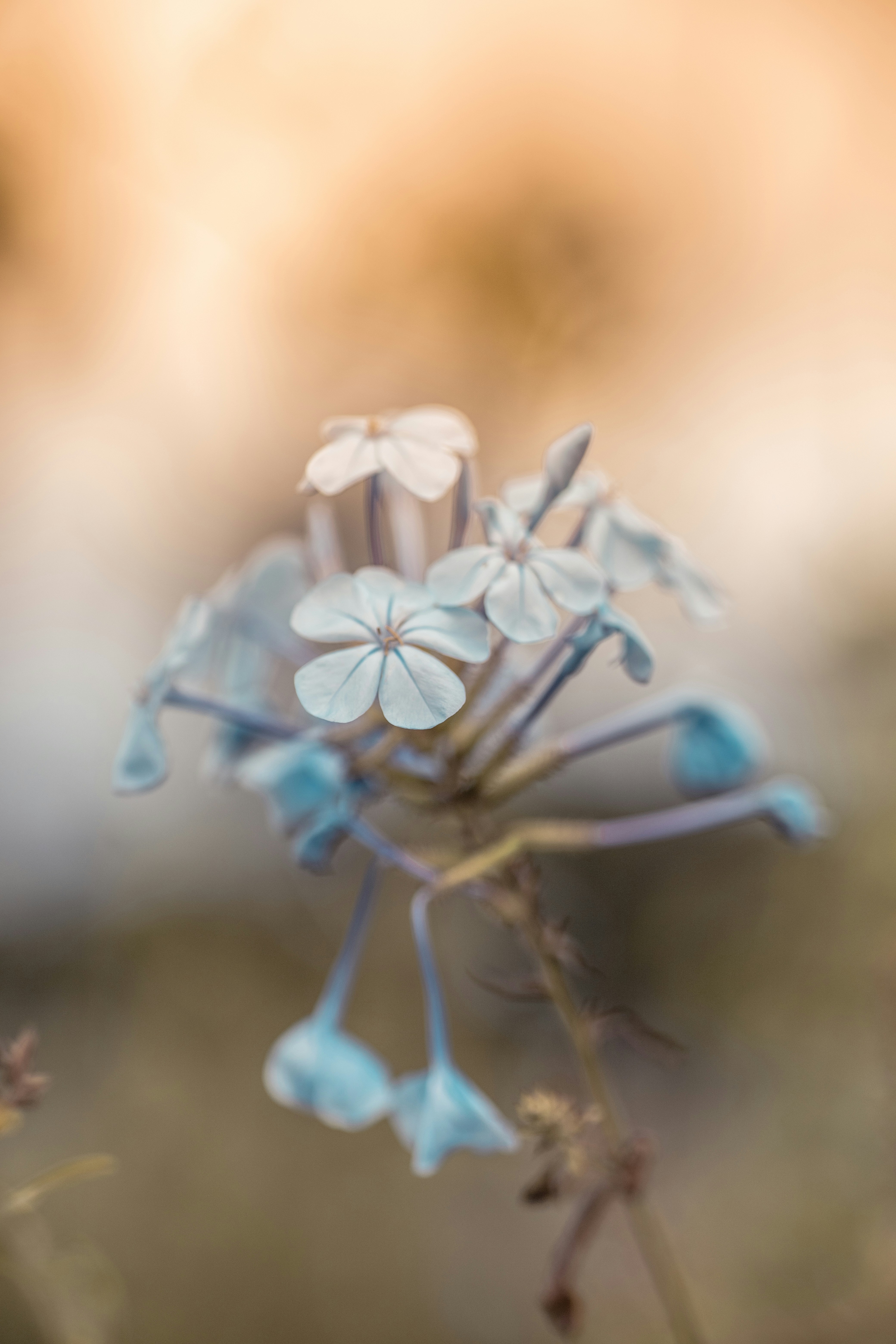 Photo by rrodriguesim