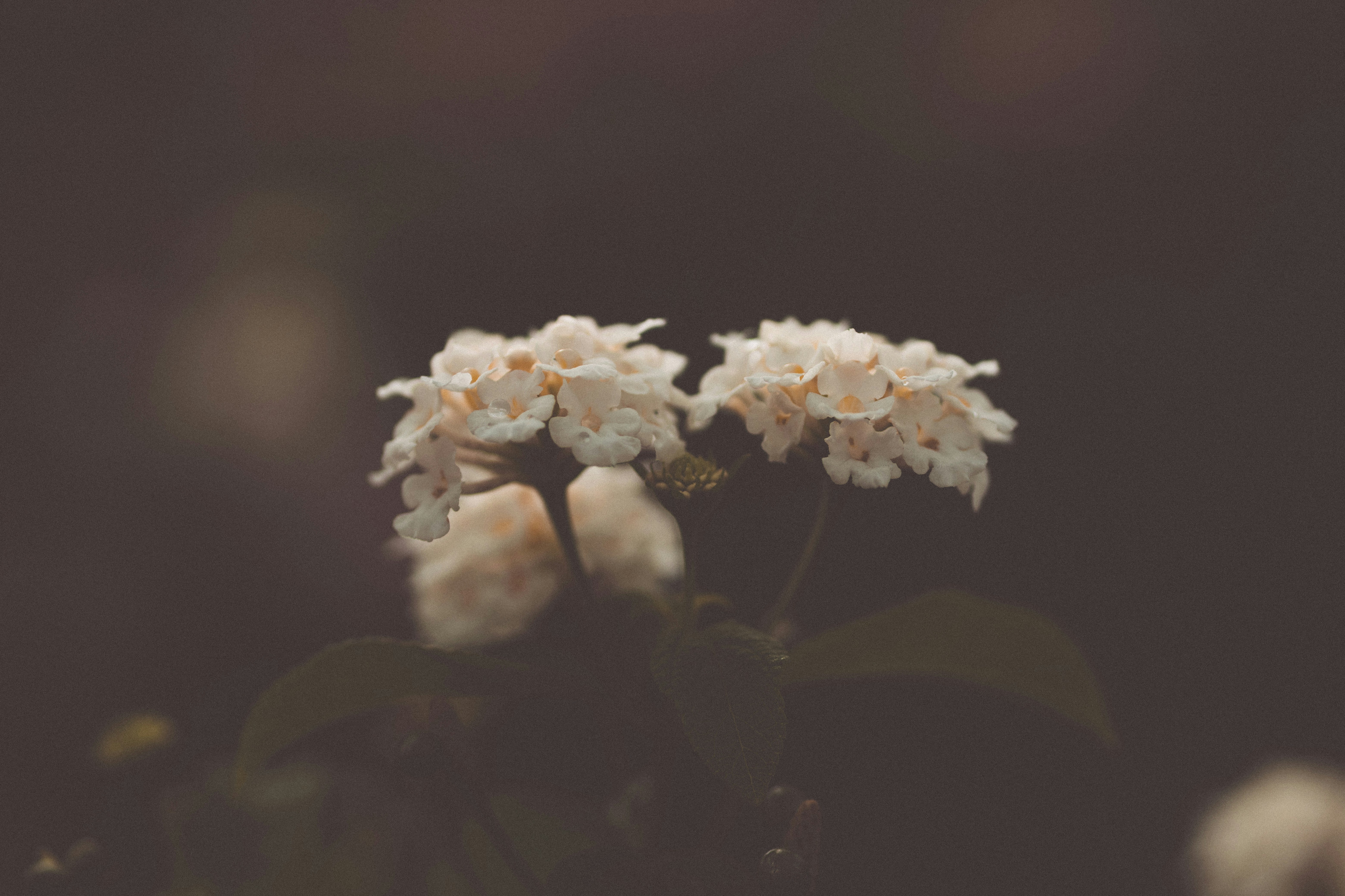 Photo by rrodriguesim