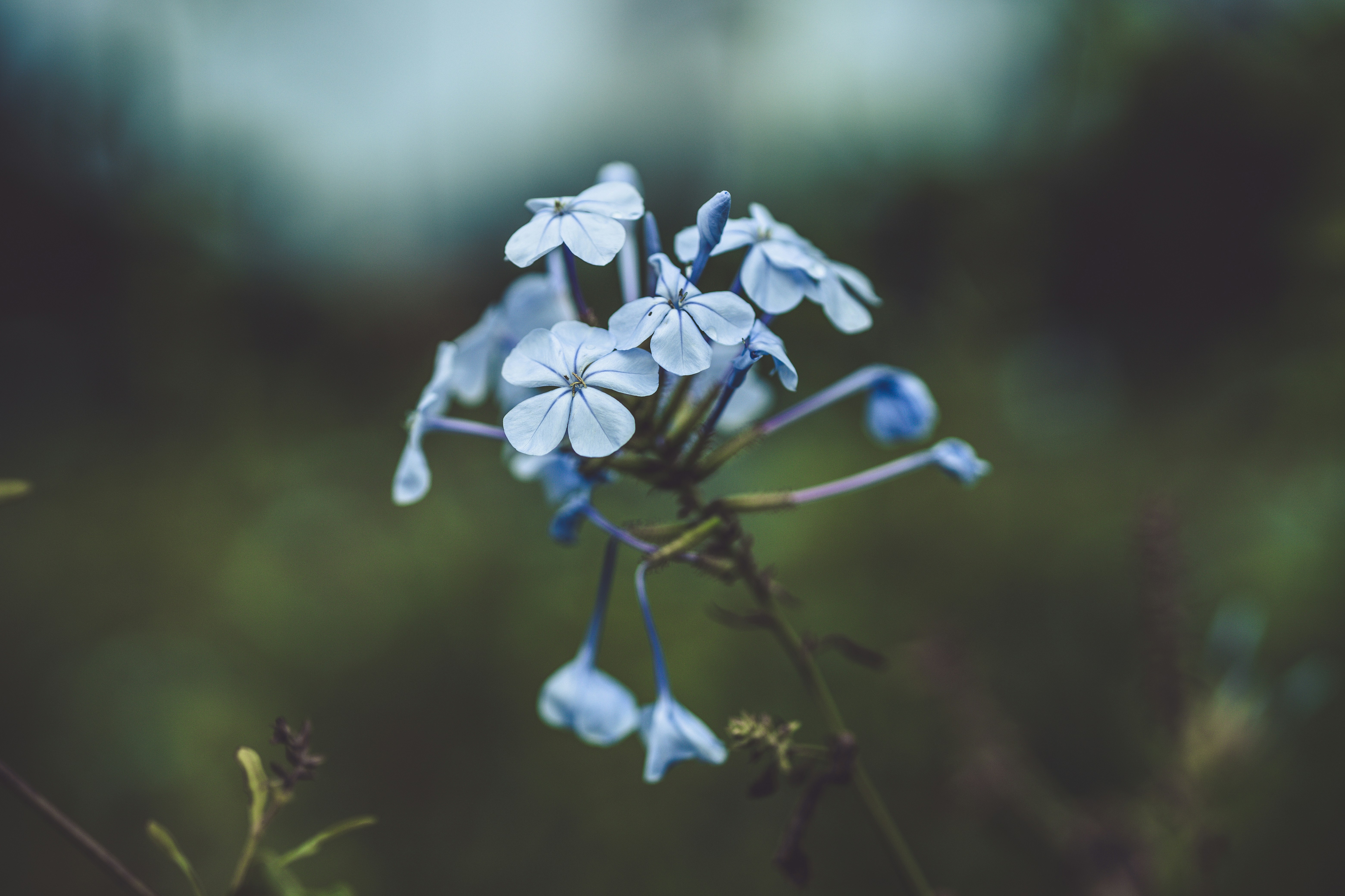 Photo by rrodriguesim