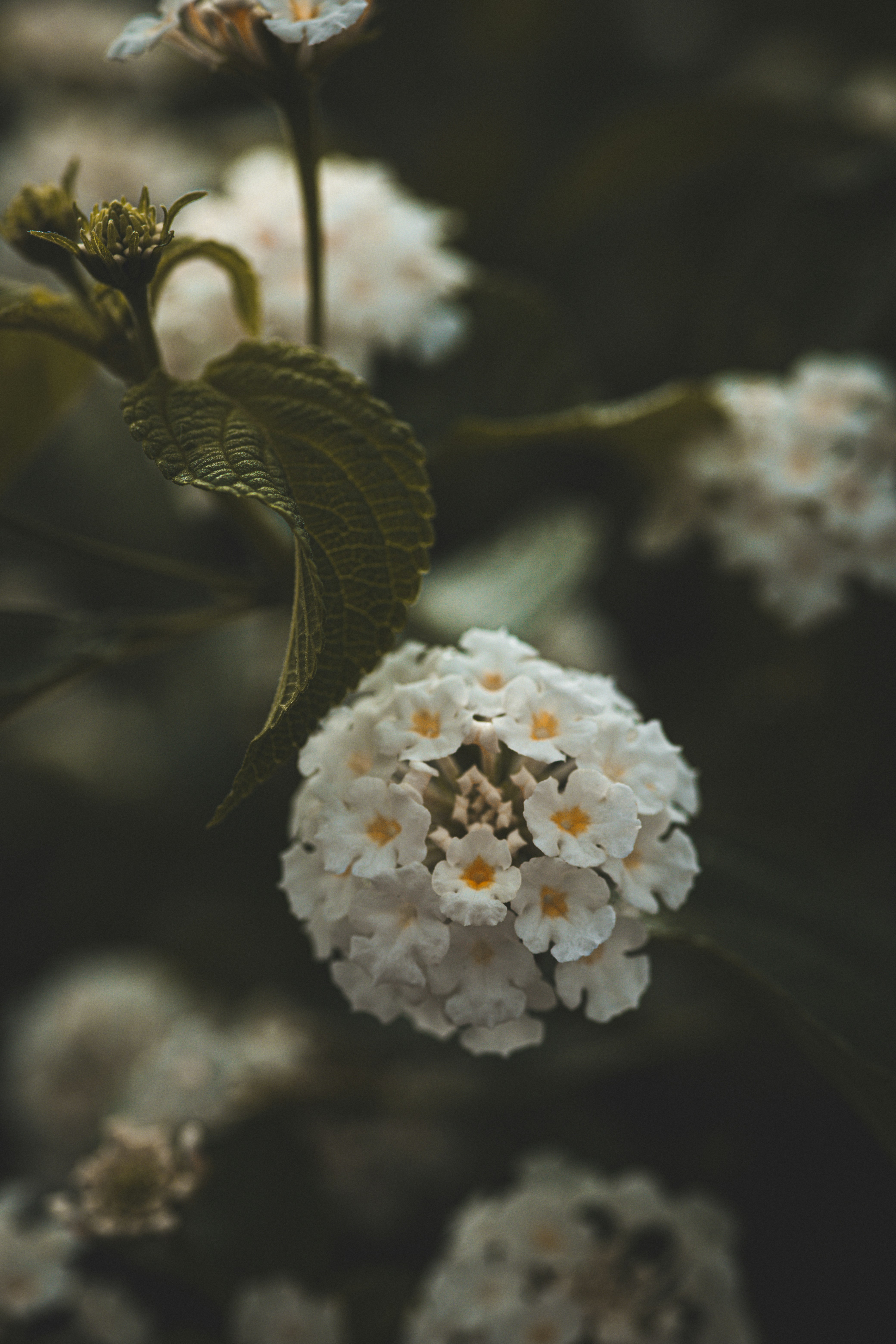 Photo by rrodriguesim