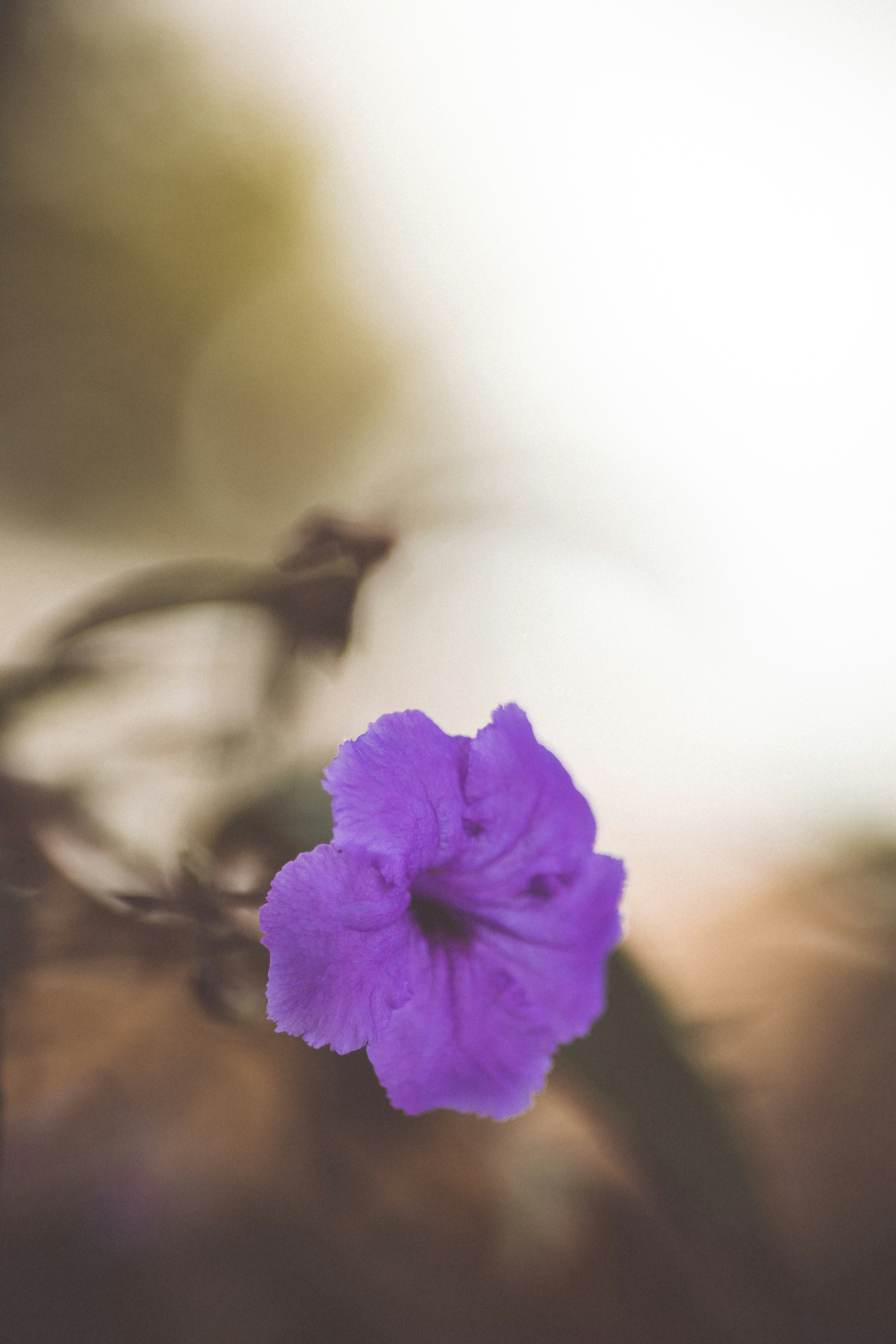 Photo by rrodriguesim