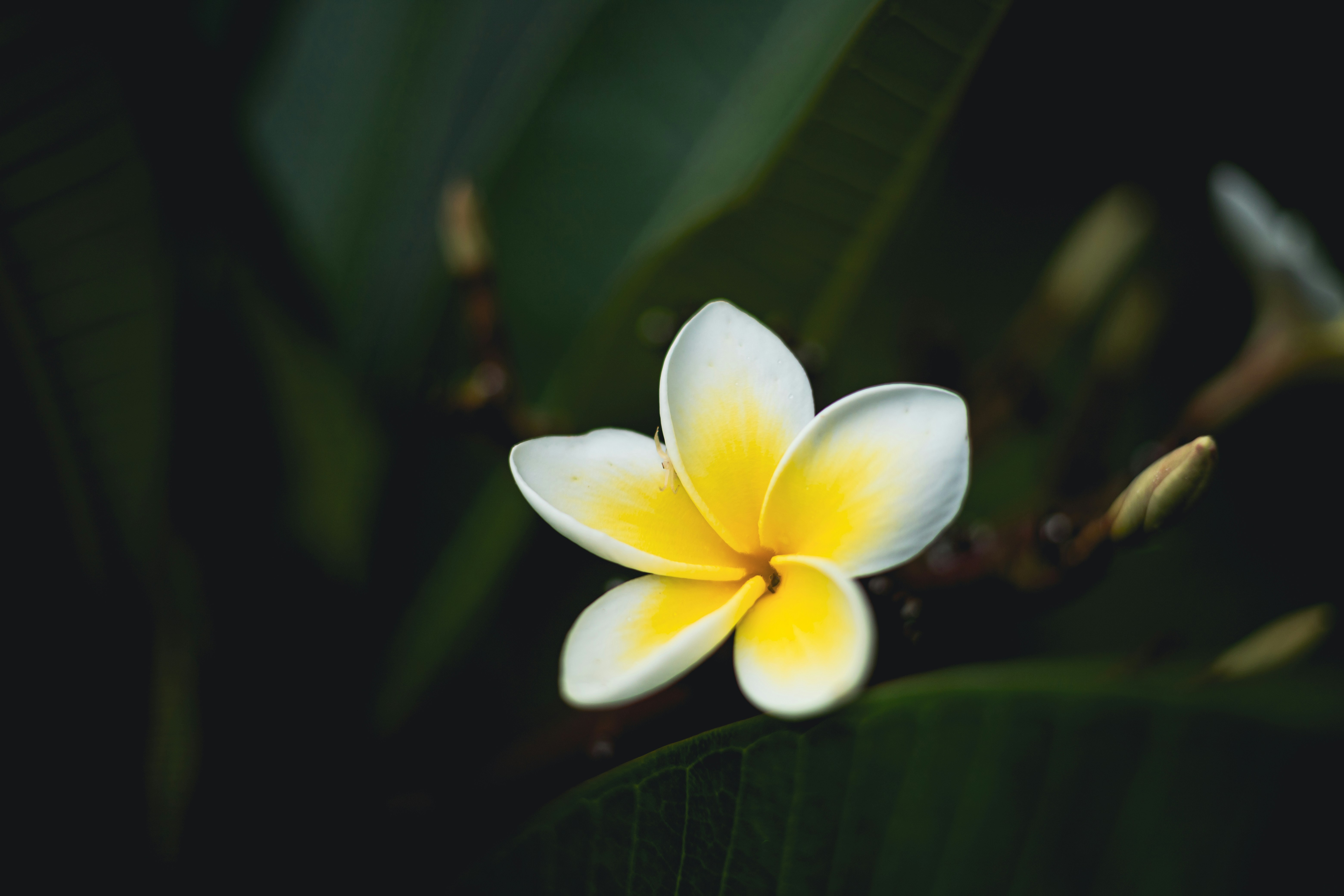 Photo by rrodriguesim