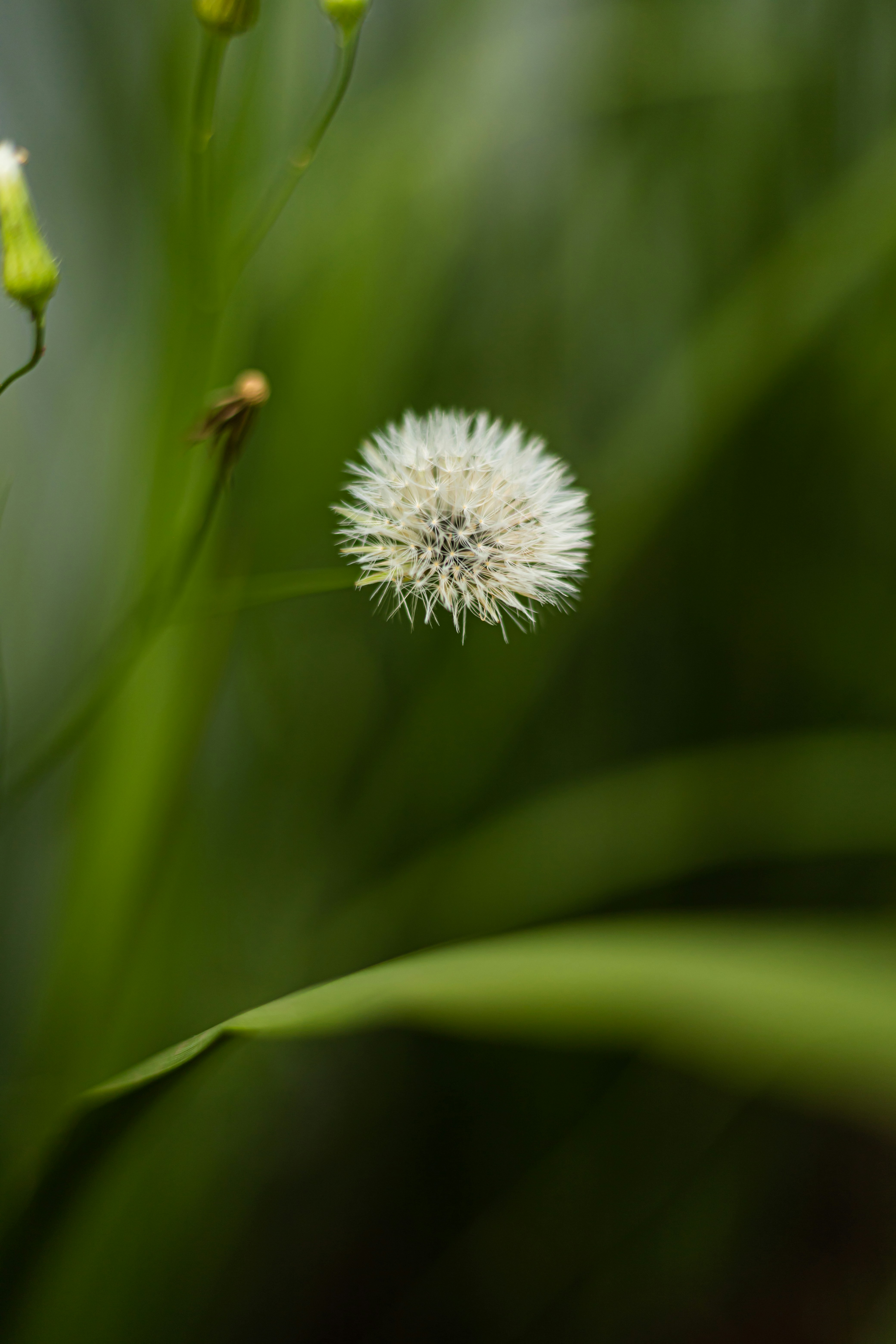 Photo by rrodriguesim