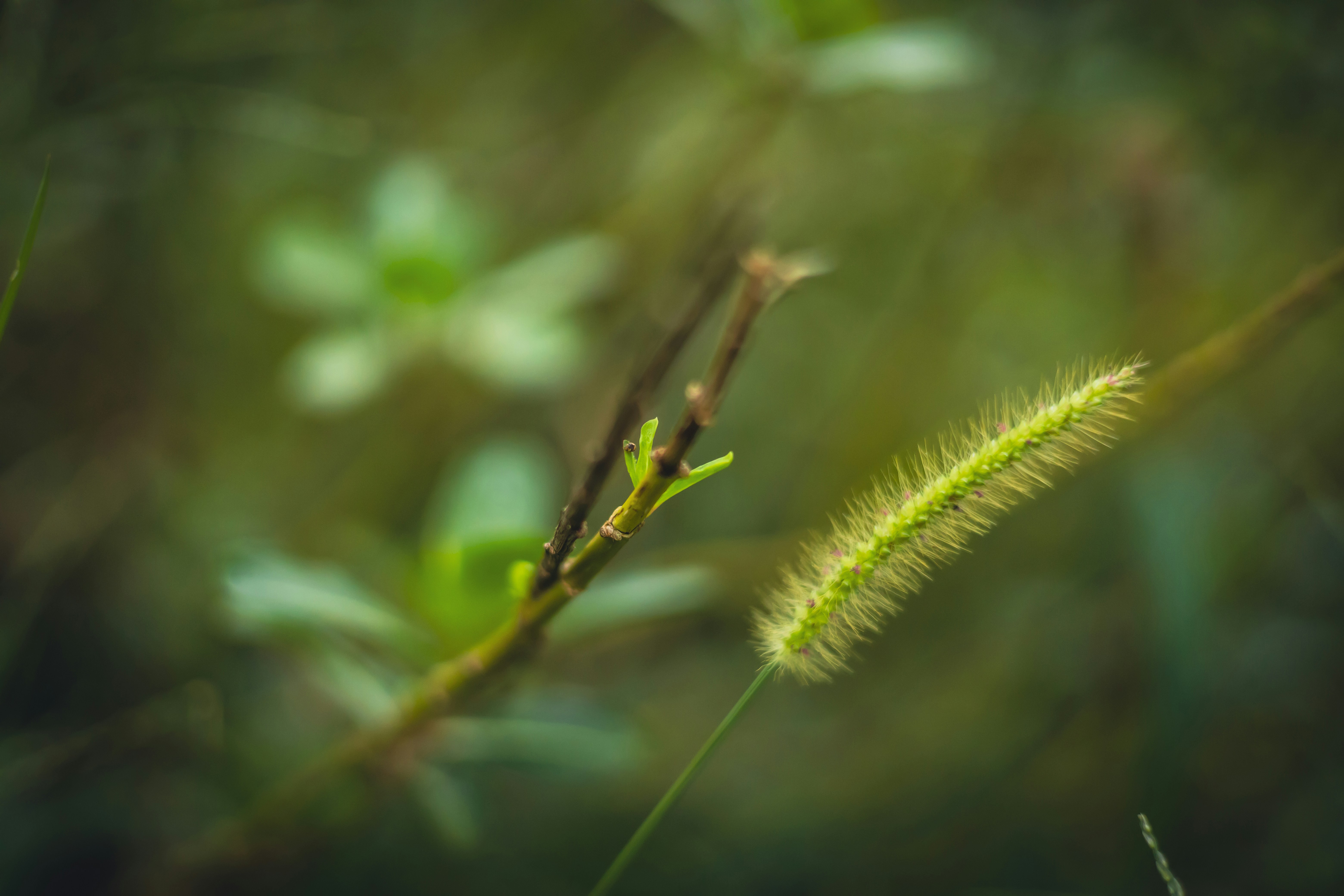 Photo by rrodriguesim