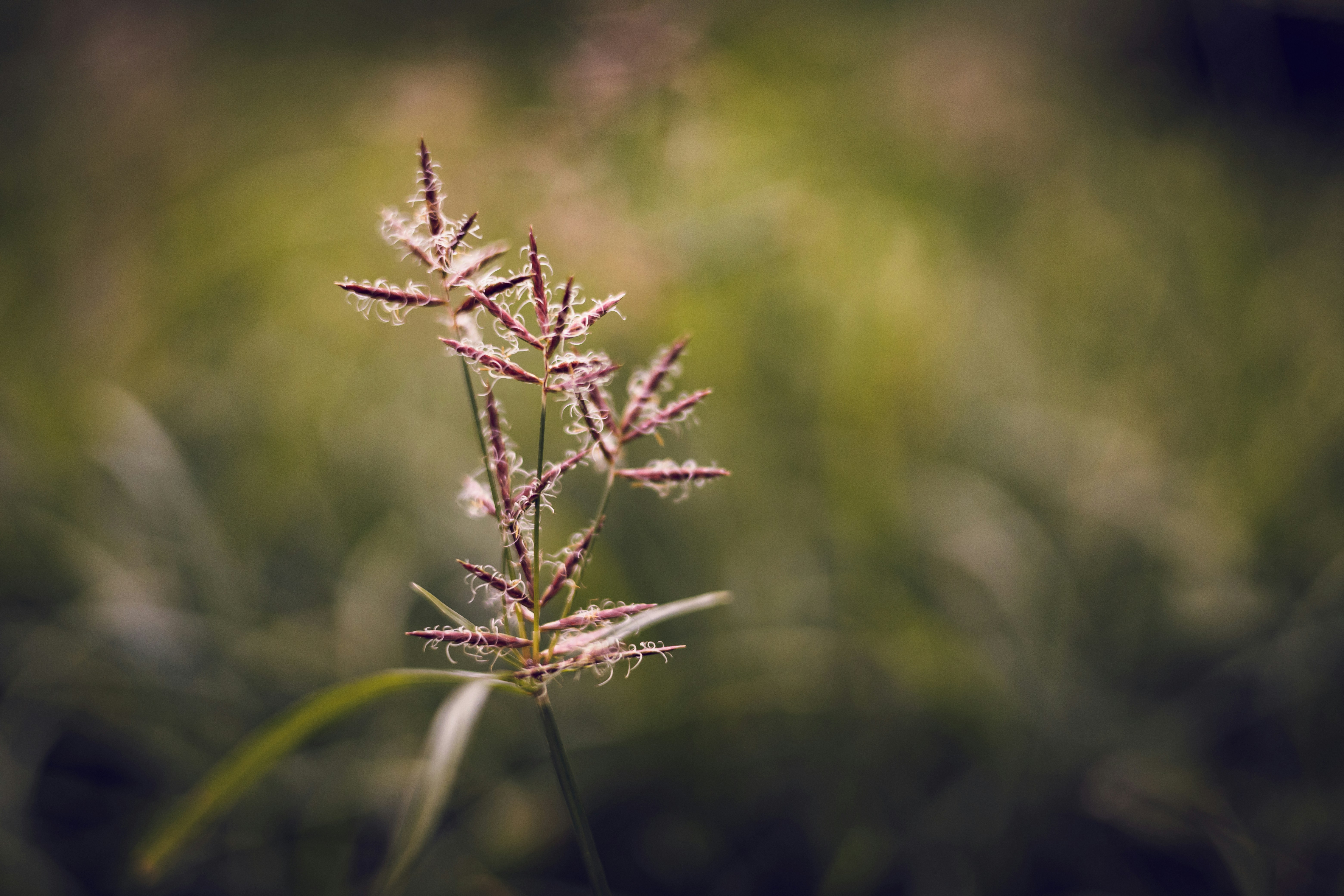 Photo by rrodriguesim