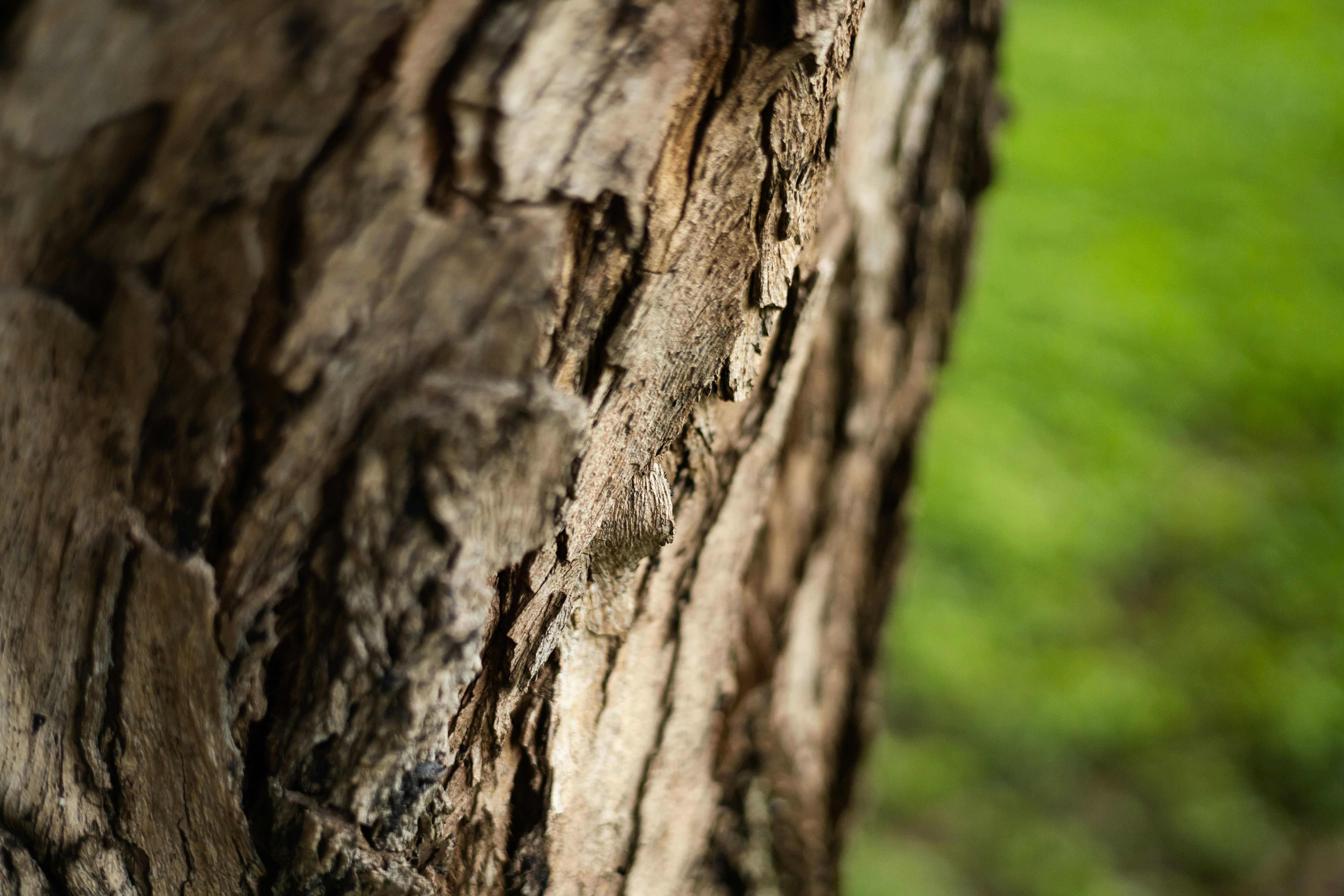 Photo by rrodriguesim