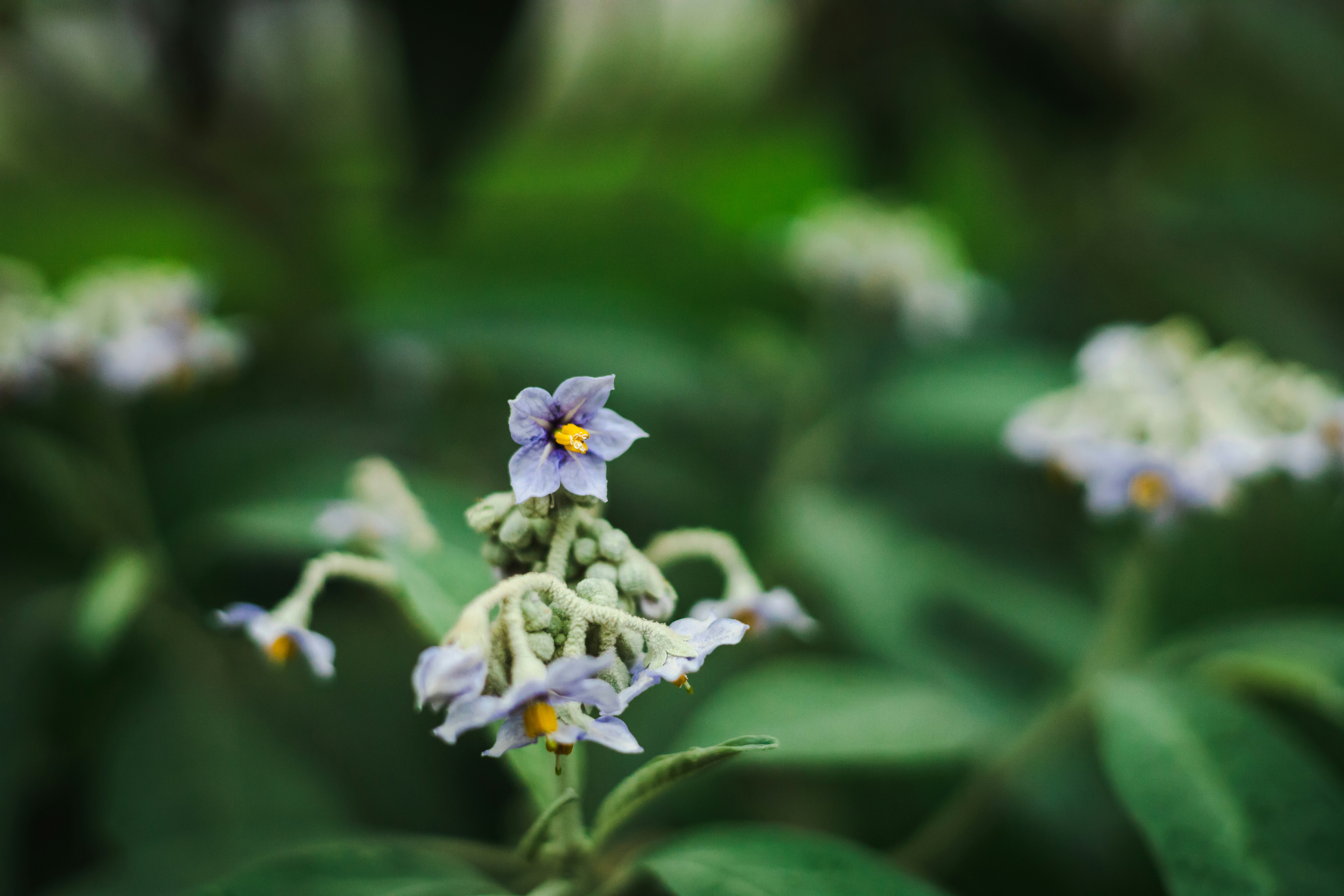 Photo by rrodriguesim