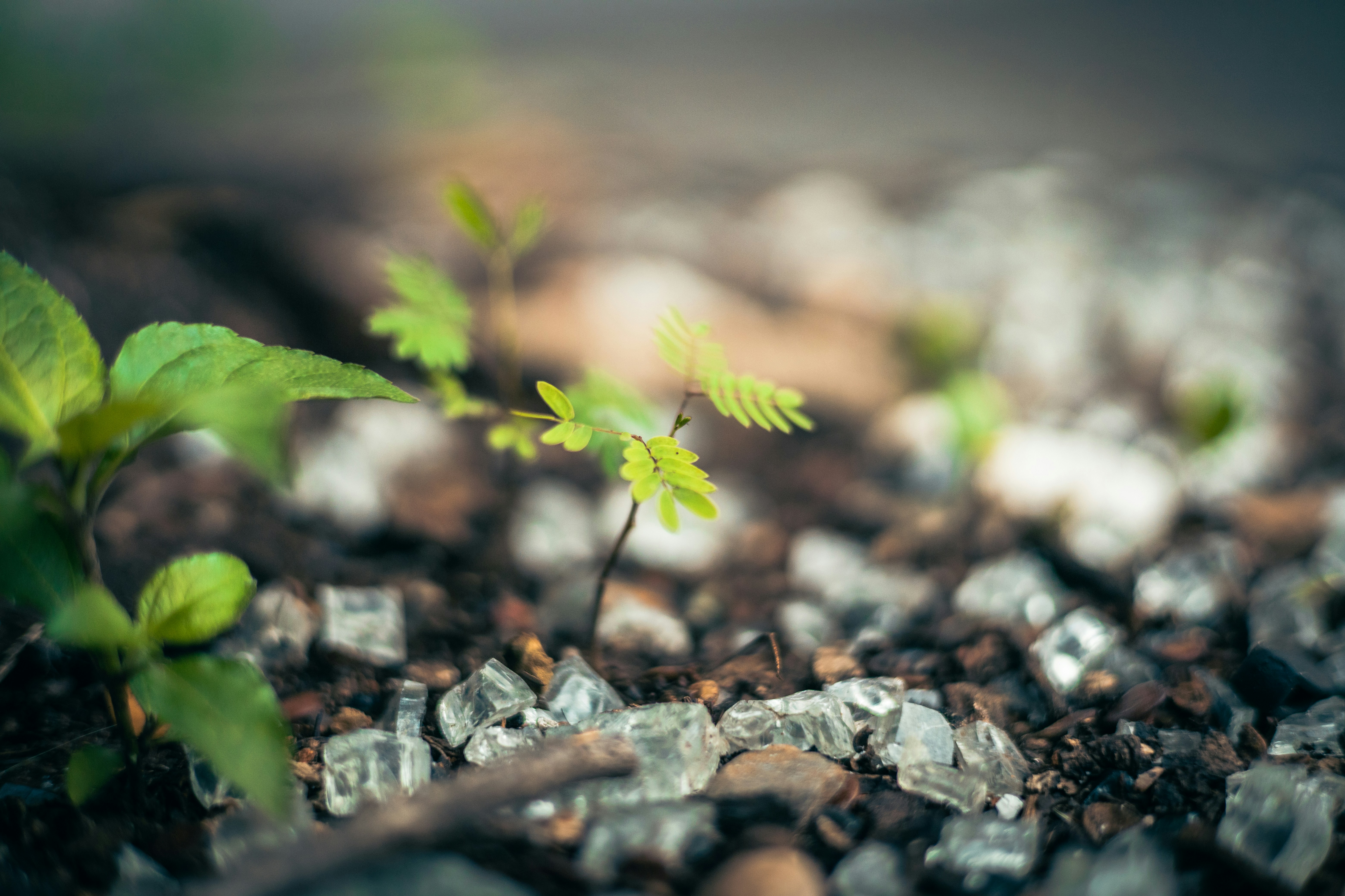 Photo by rrodriguesim