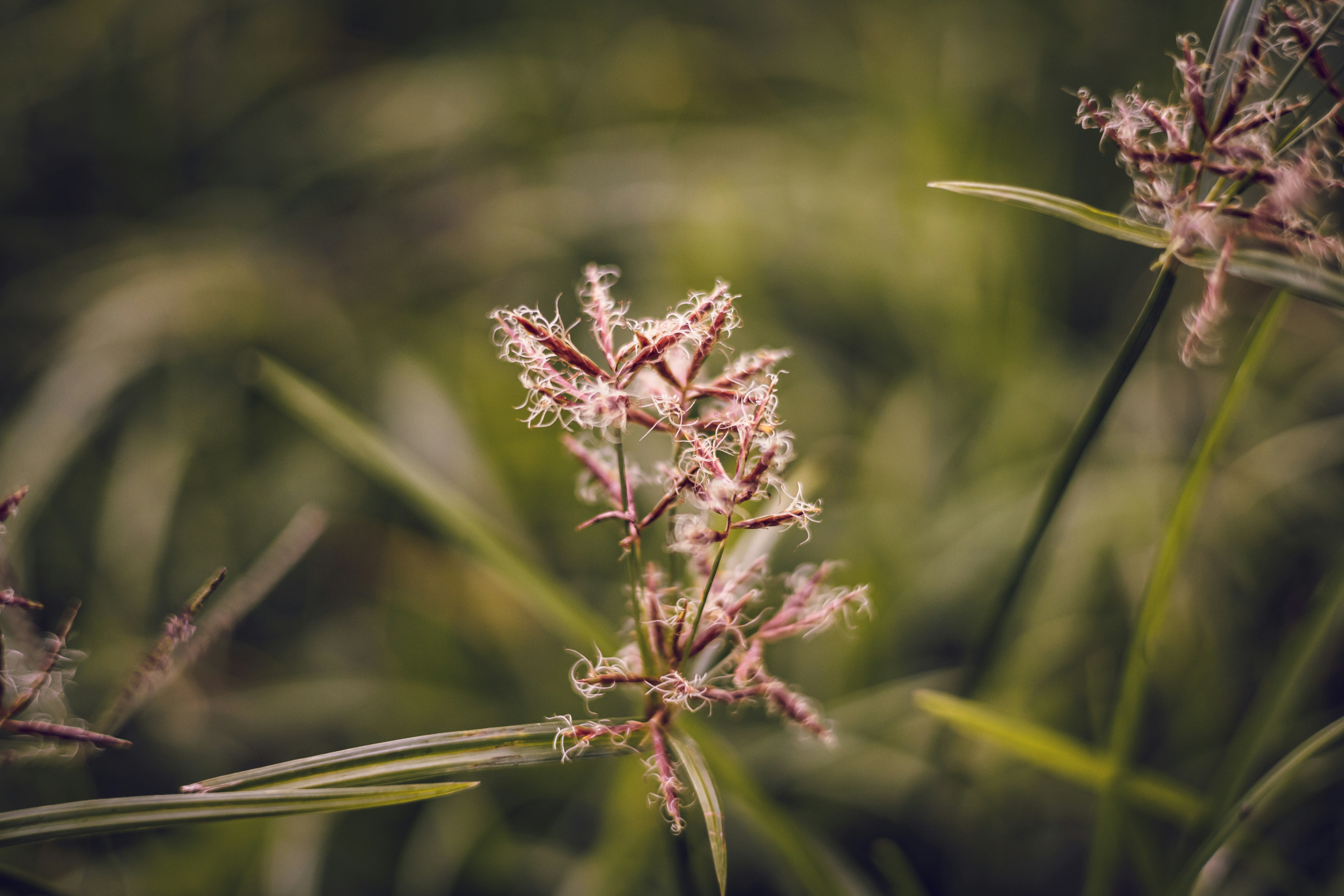 Photo by rrodriguesim