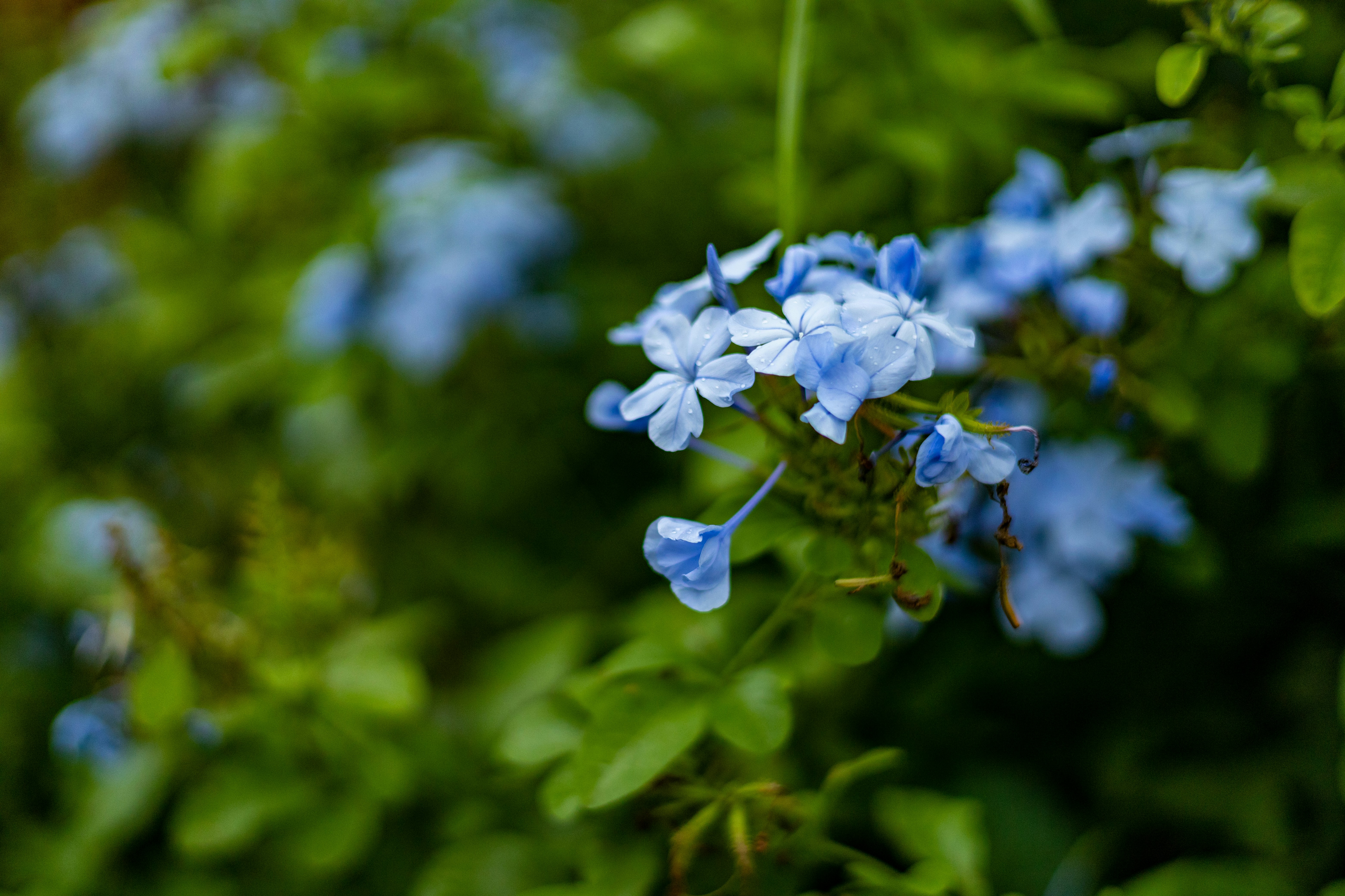 Photo by rrodriguesim