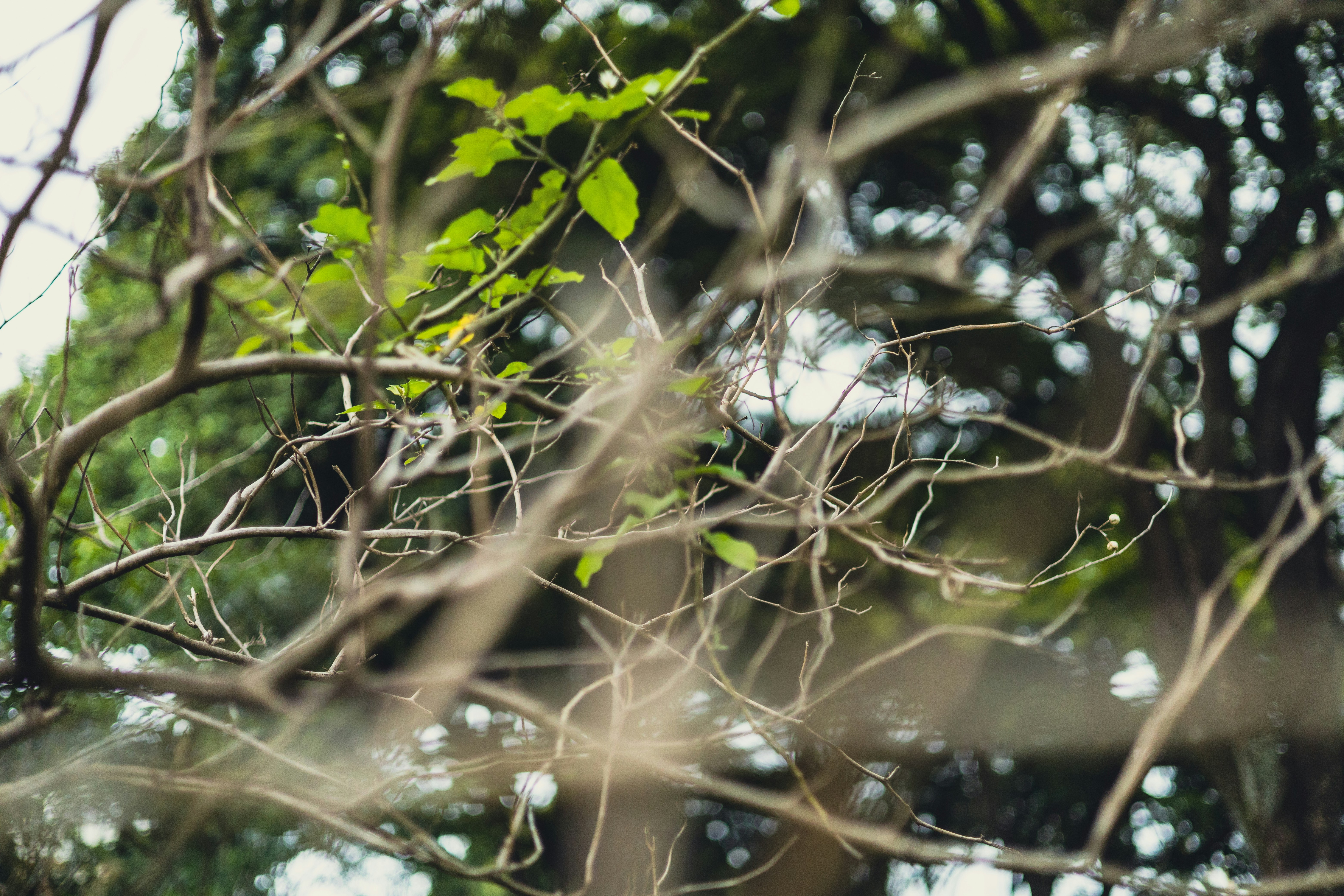 Photo by rrodriguesim