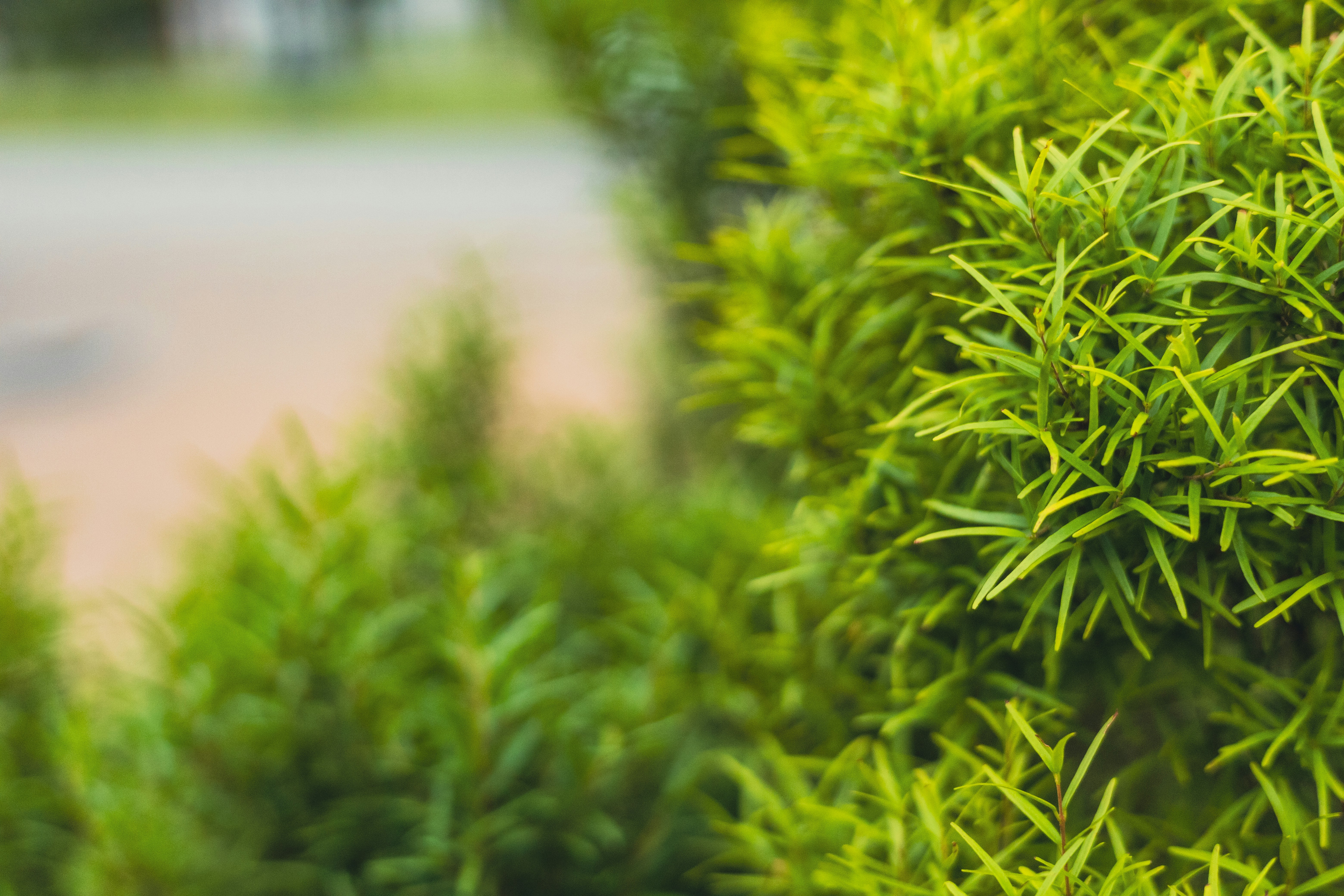 Photo by rrodriguesim