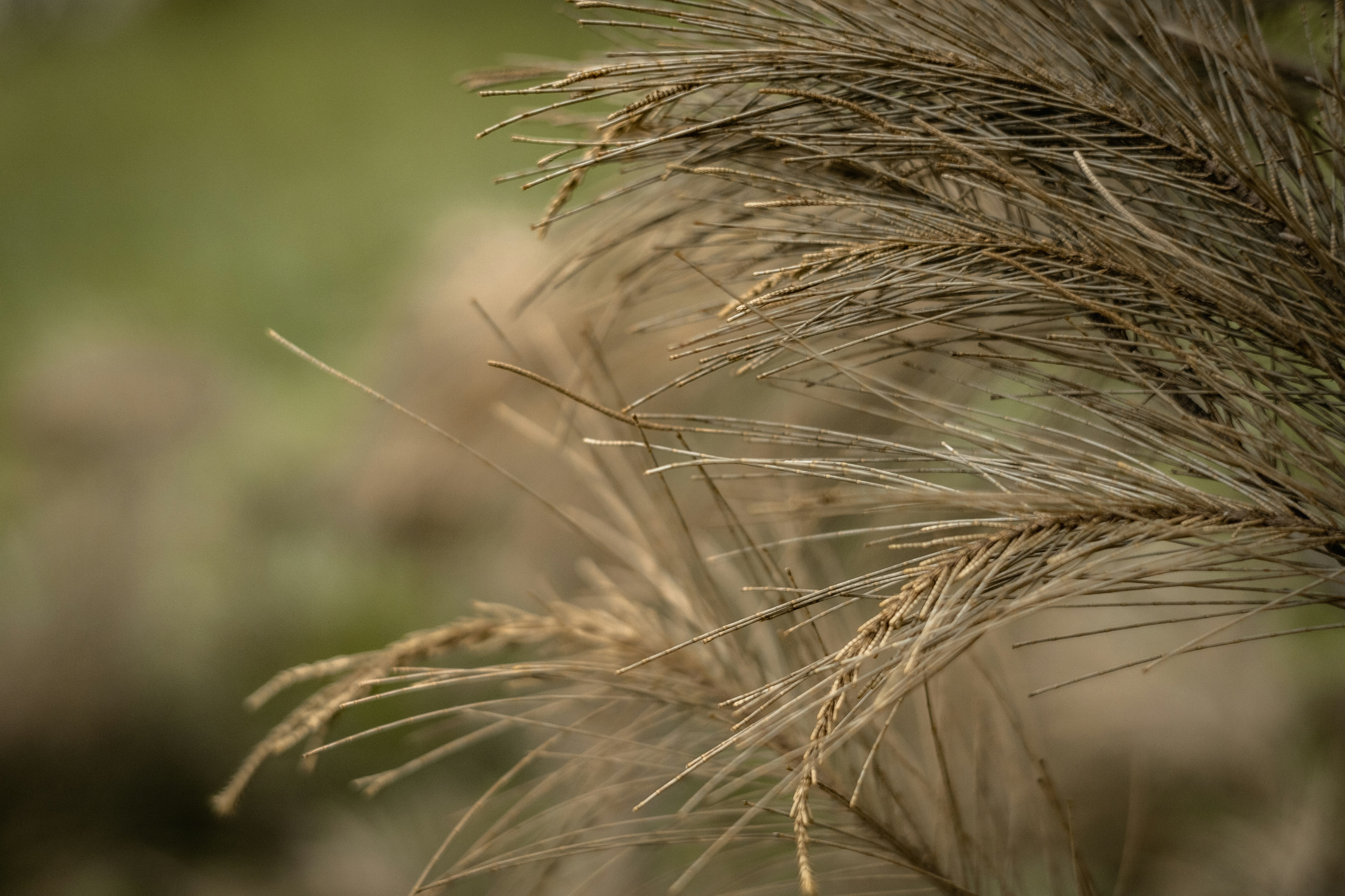 Photo by rrodriguesim