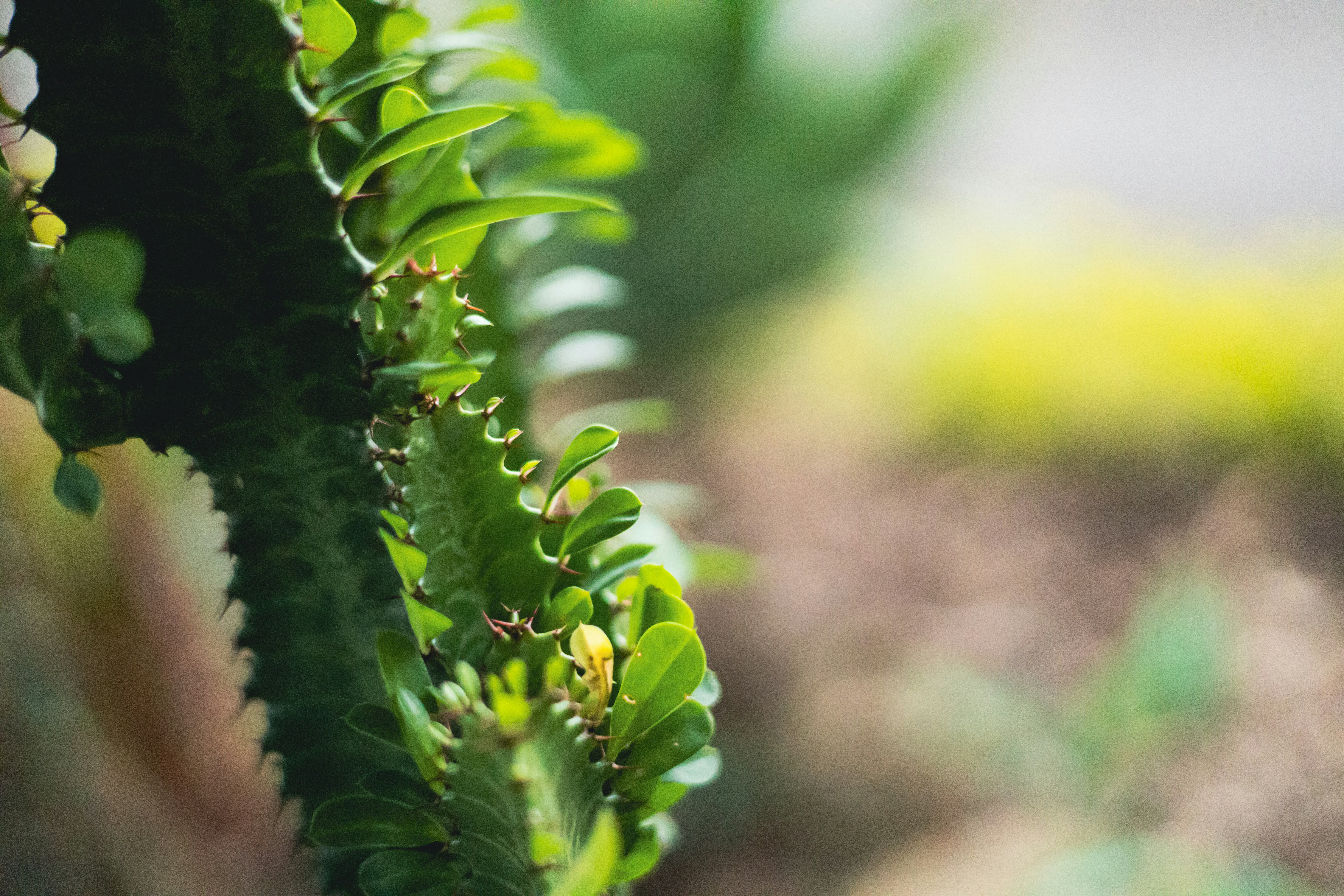 Photo by rrodriguesim