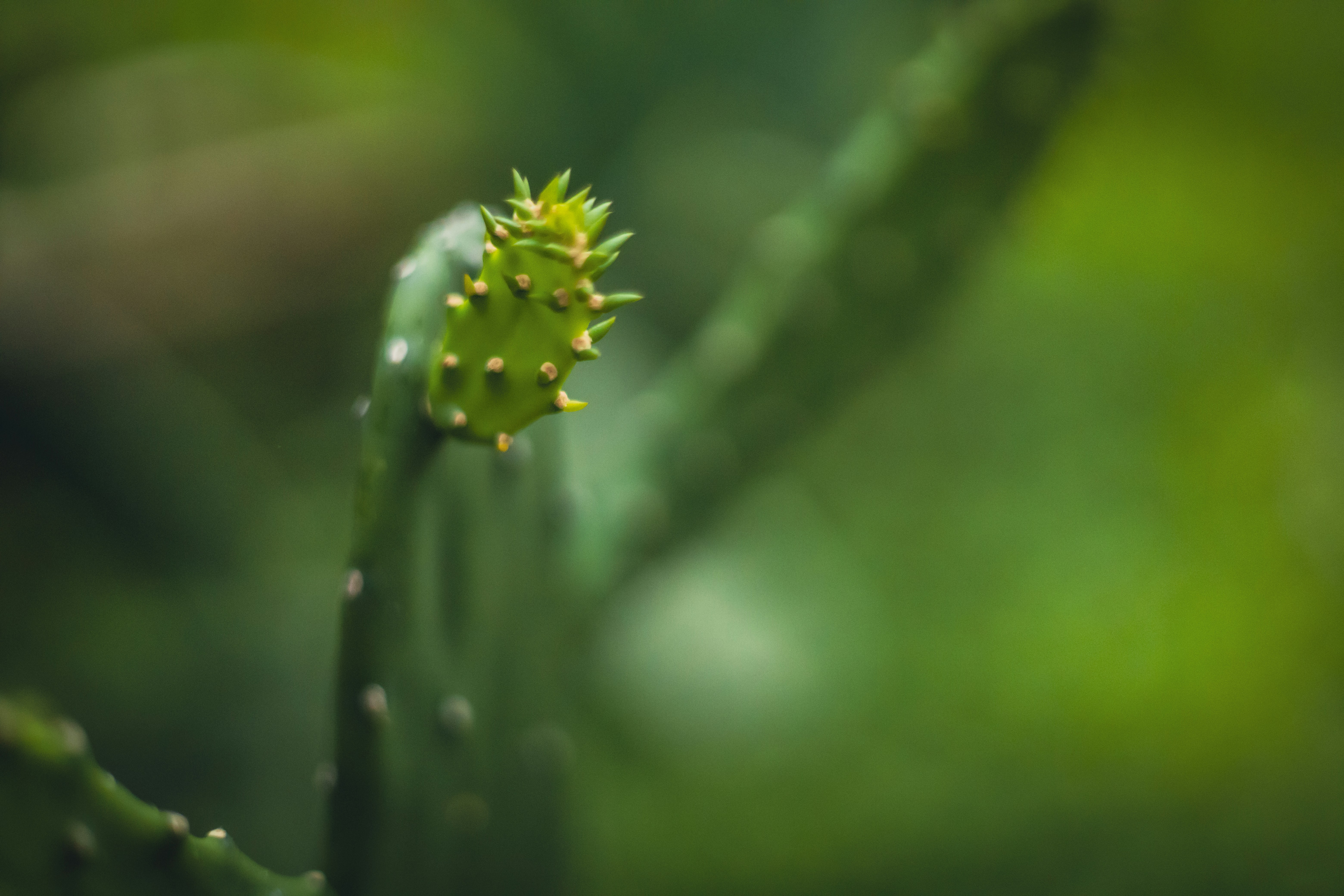 Photo by rrodriguesim