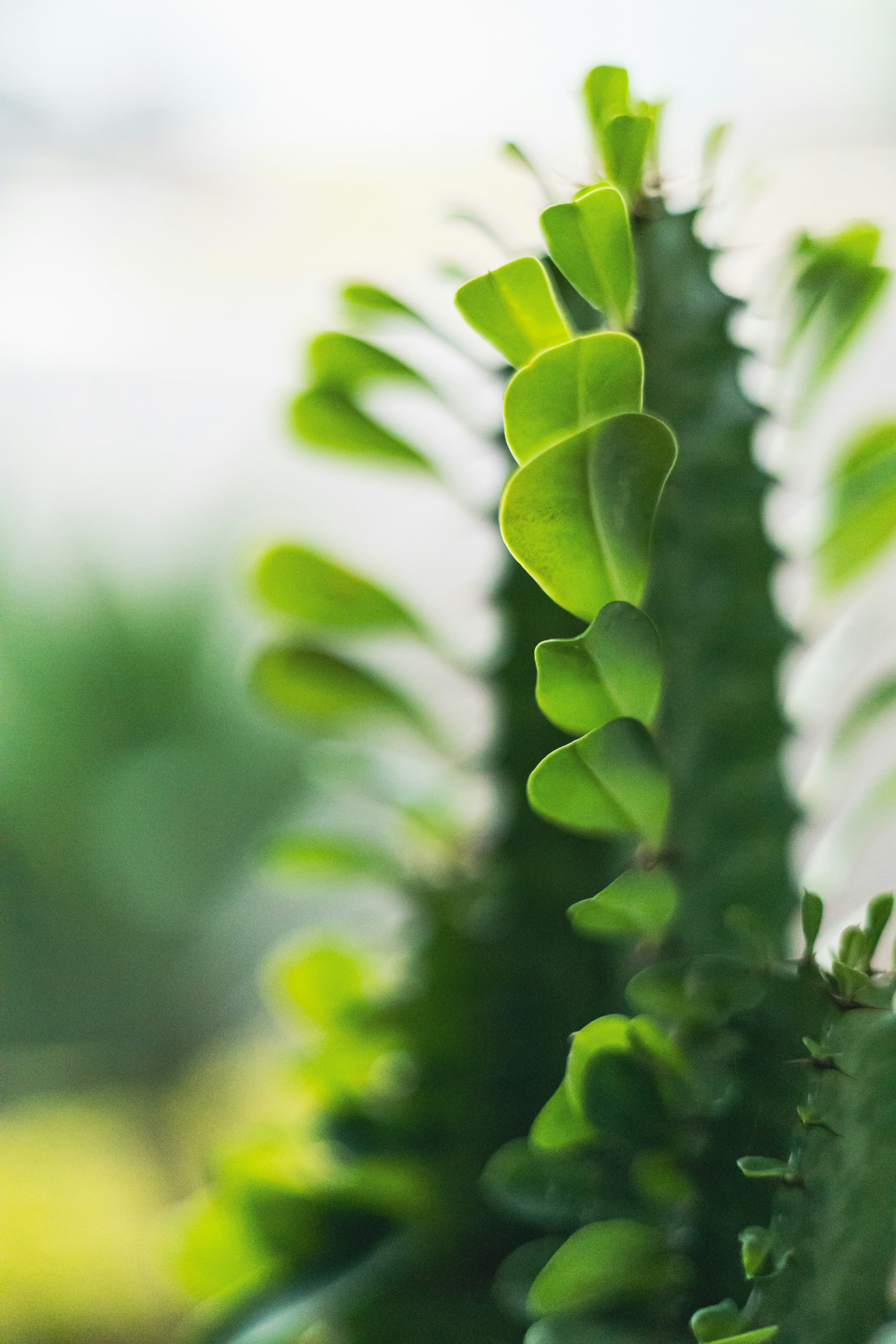 Photo by rrodriguesim