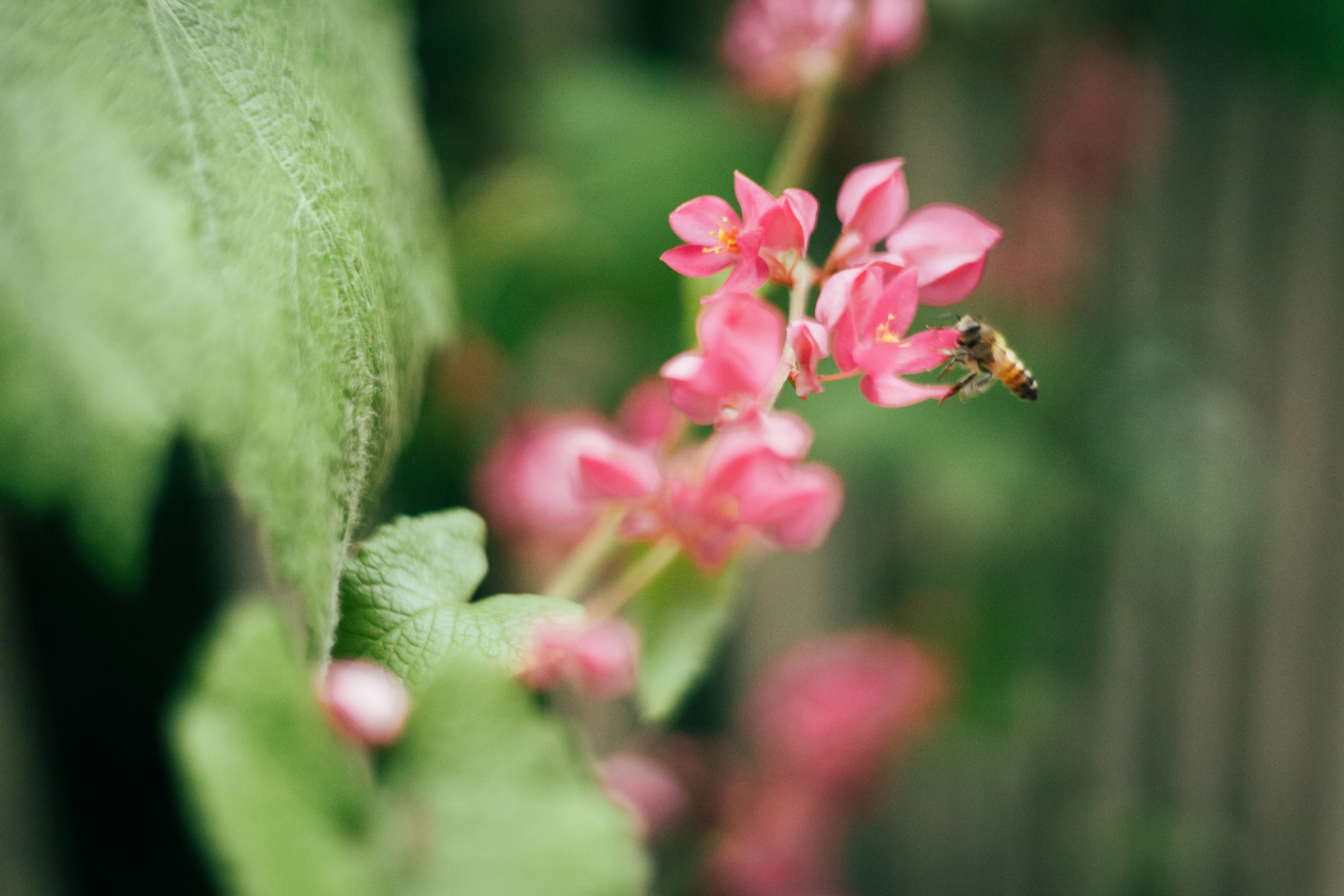 Photo by rrodriguesim