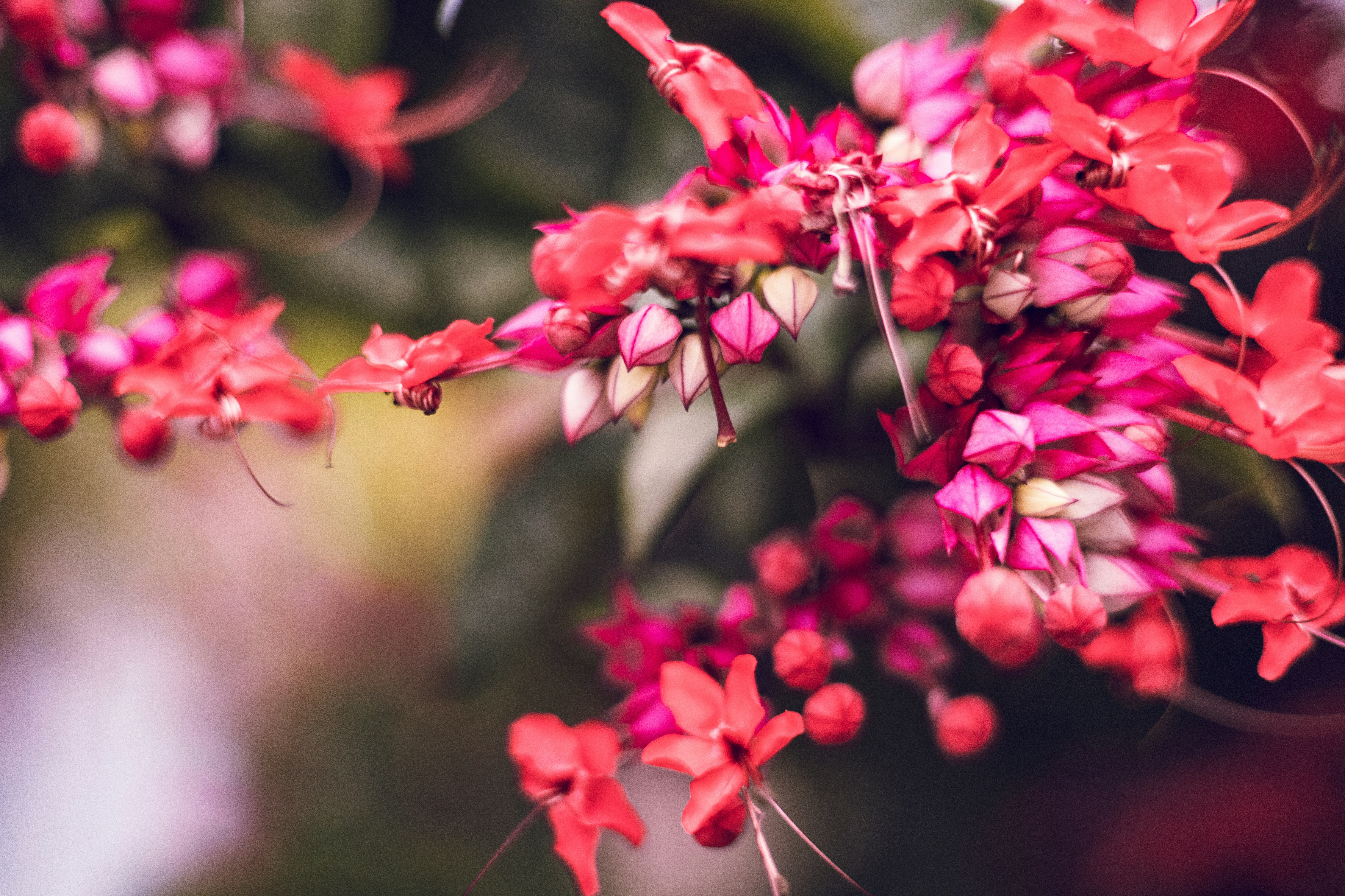 Photo by rrodriguesim