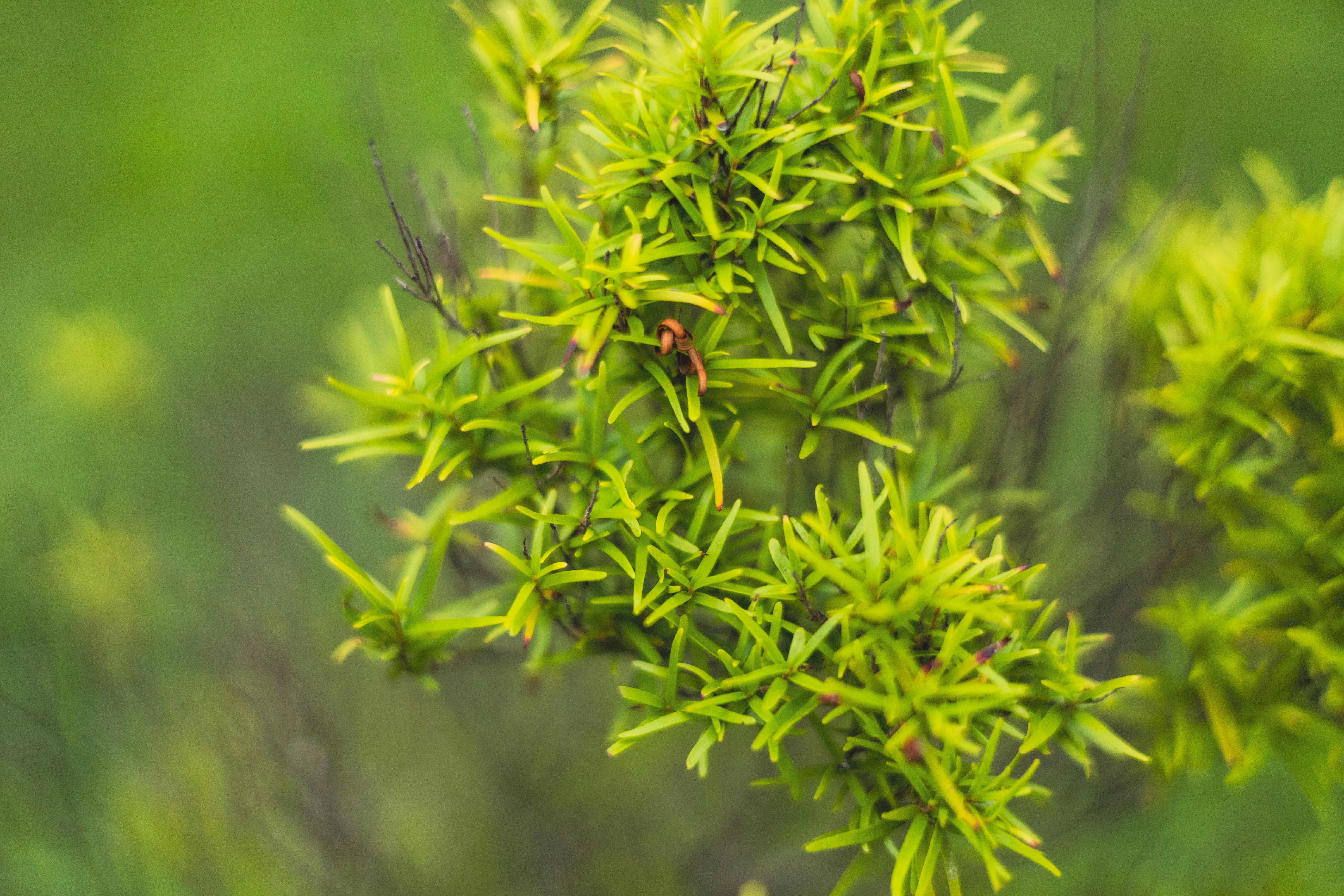 Photo by rrodriguesim