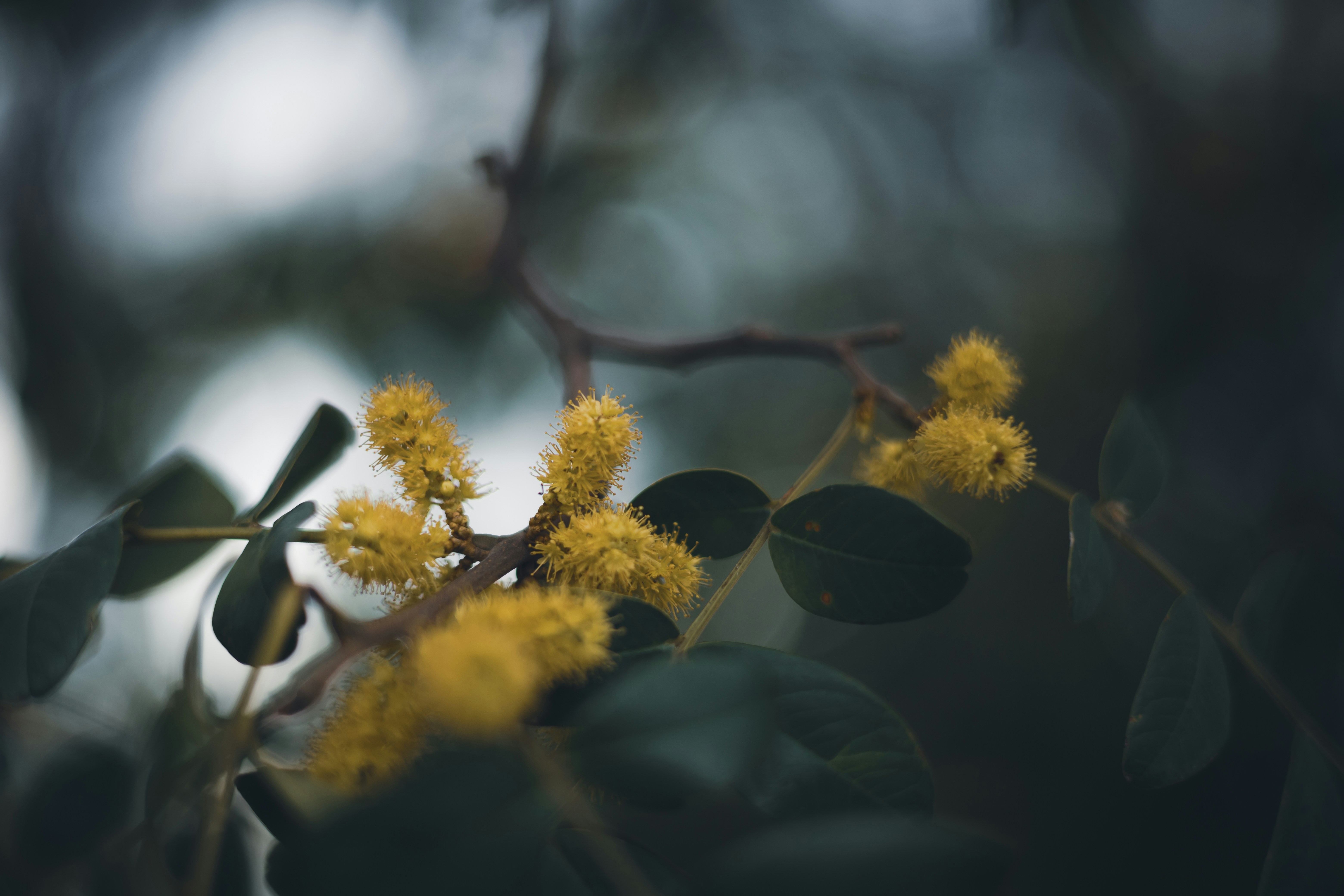 Photo by rrodriguesim