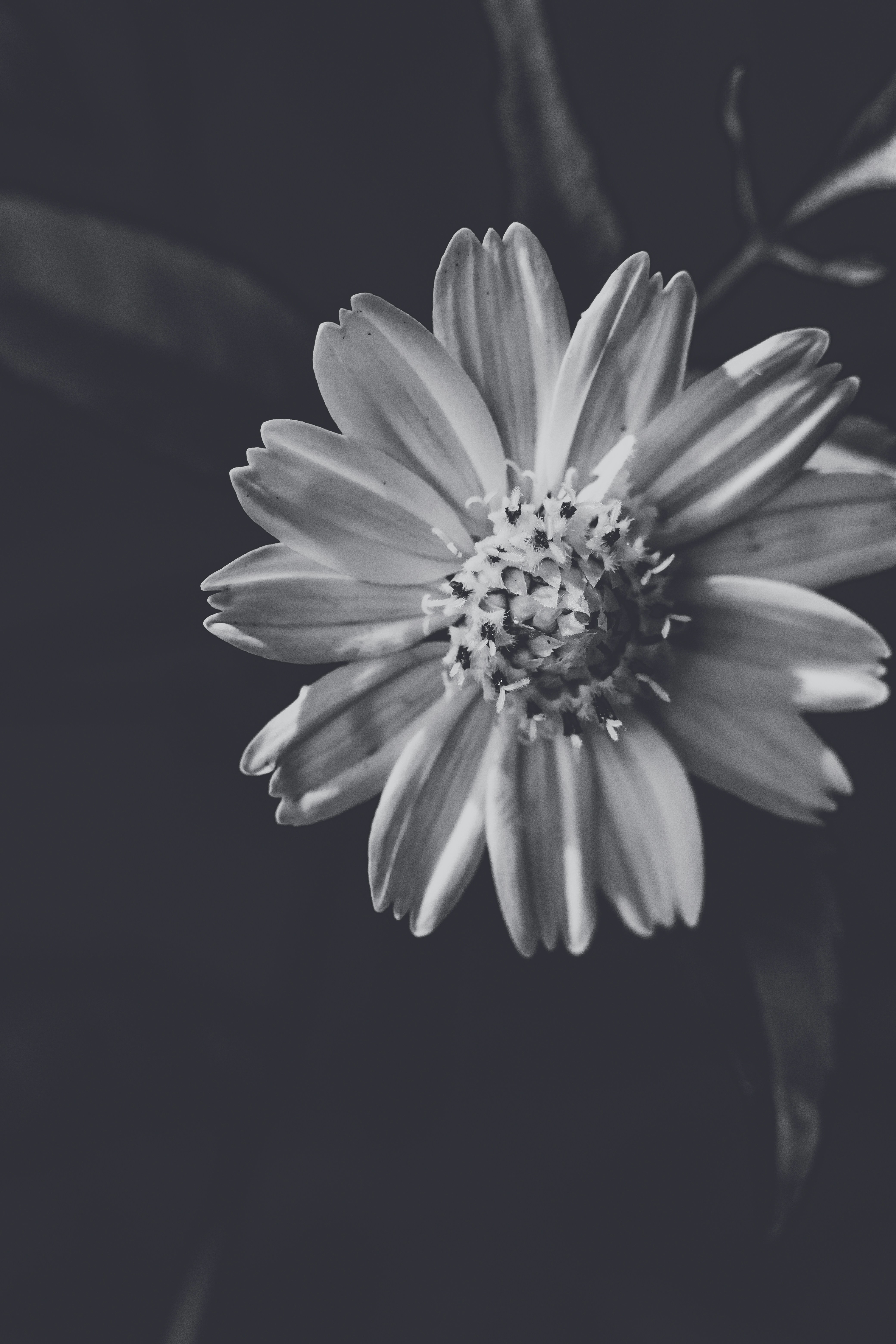 Photo by rrodriguesim