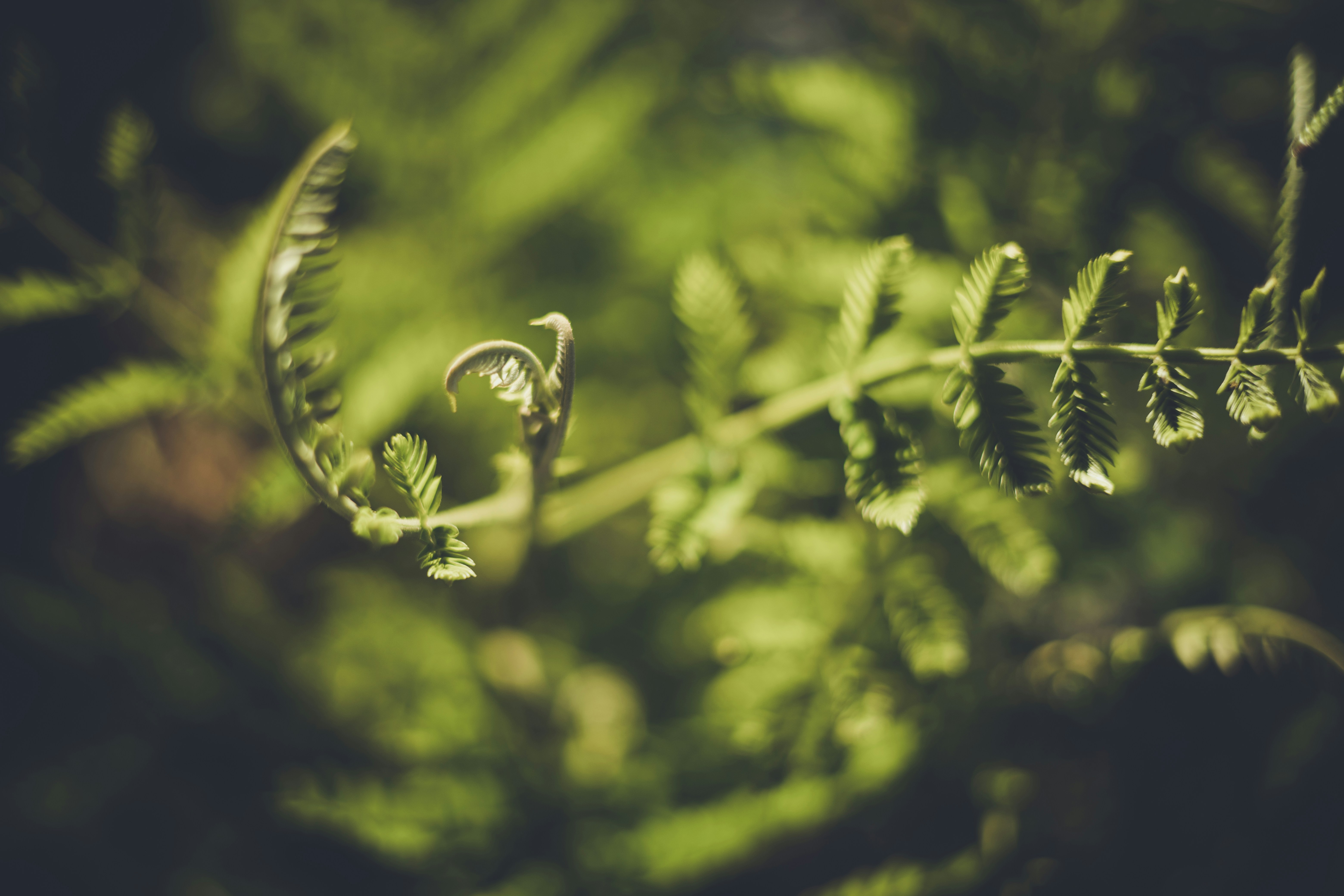 Photo by rrodriguesim