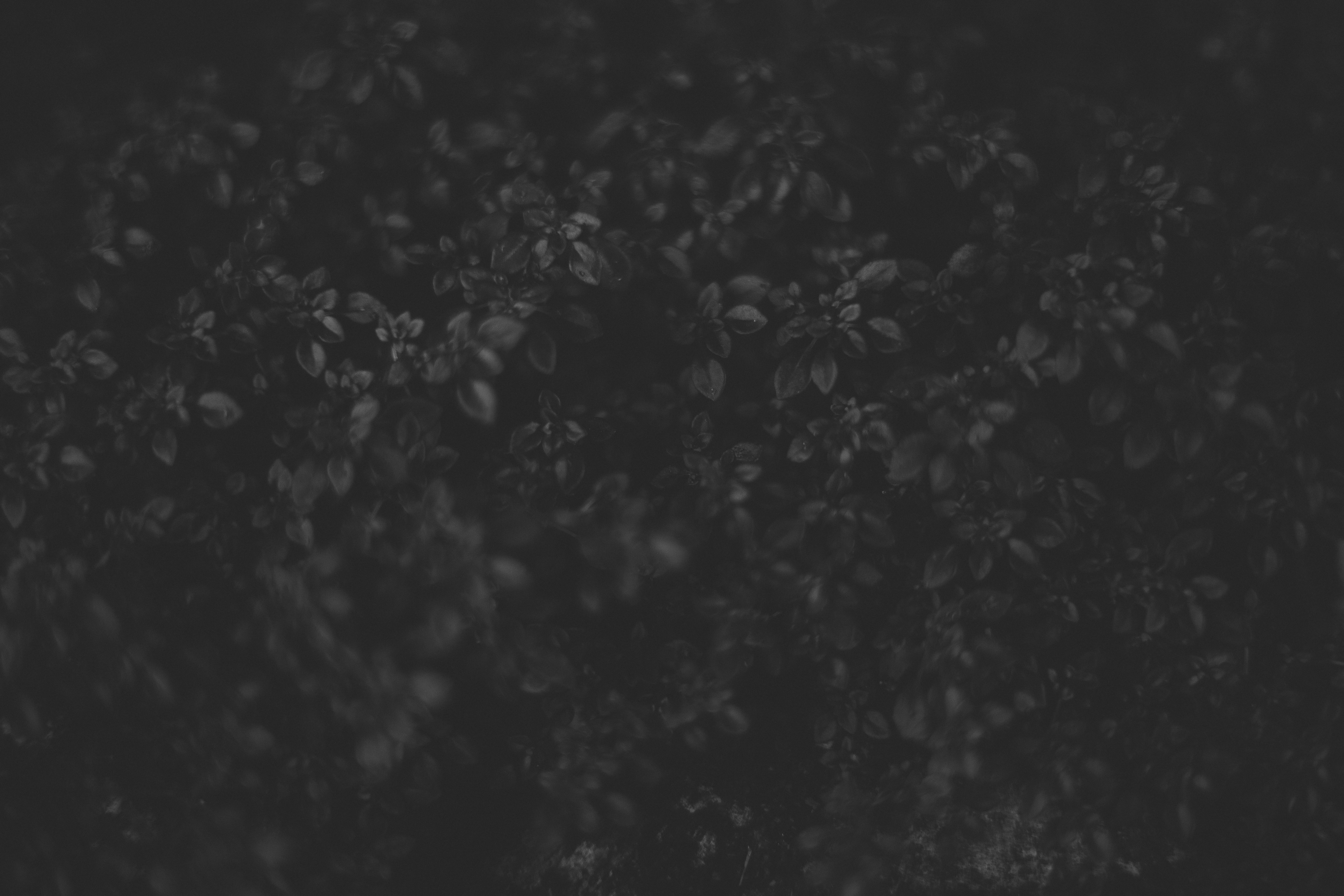 Photo by rrodriguesim