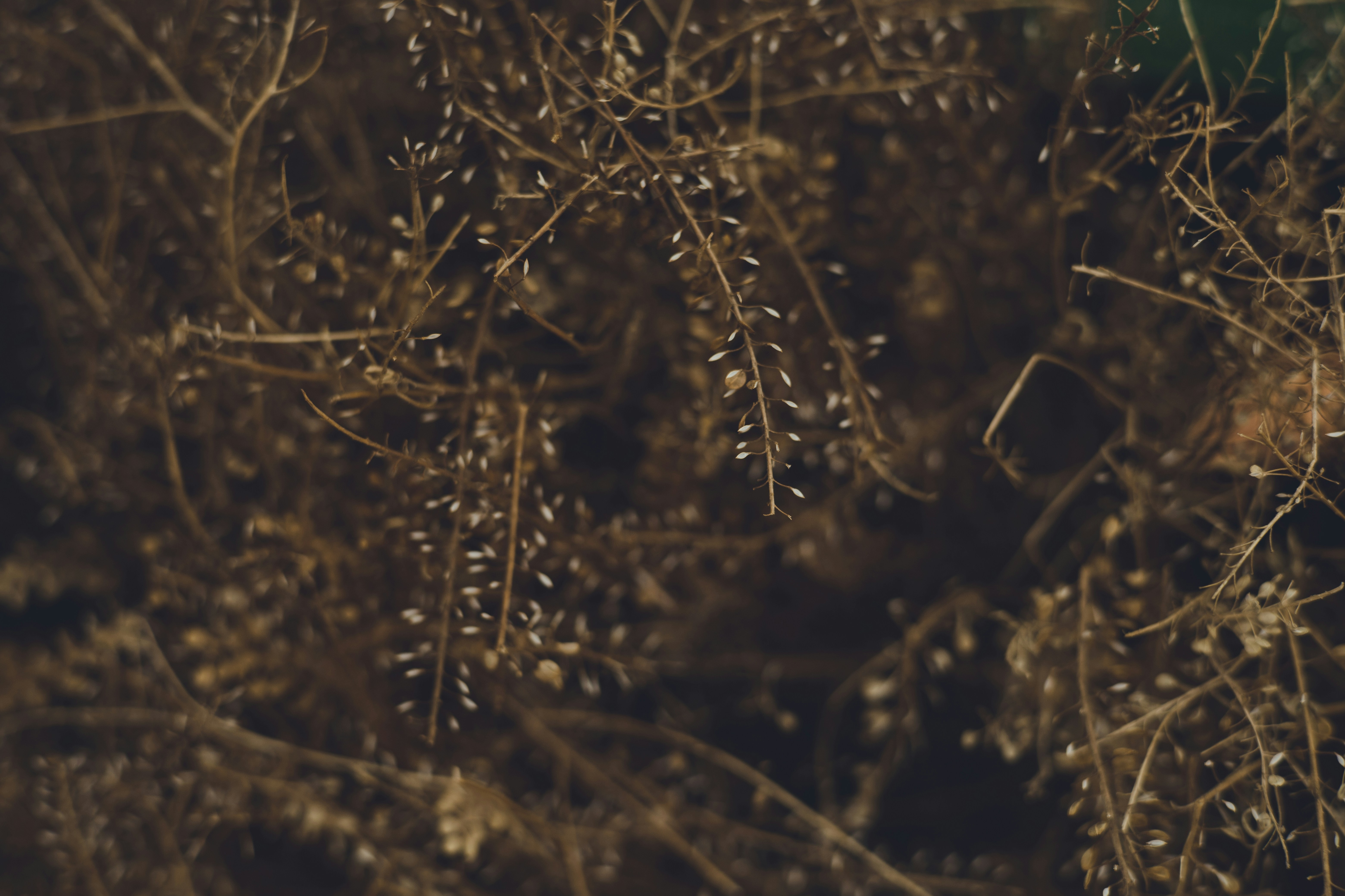 Photo by rrodriguesim