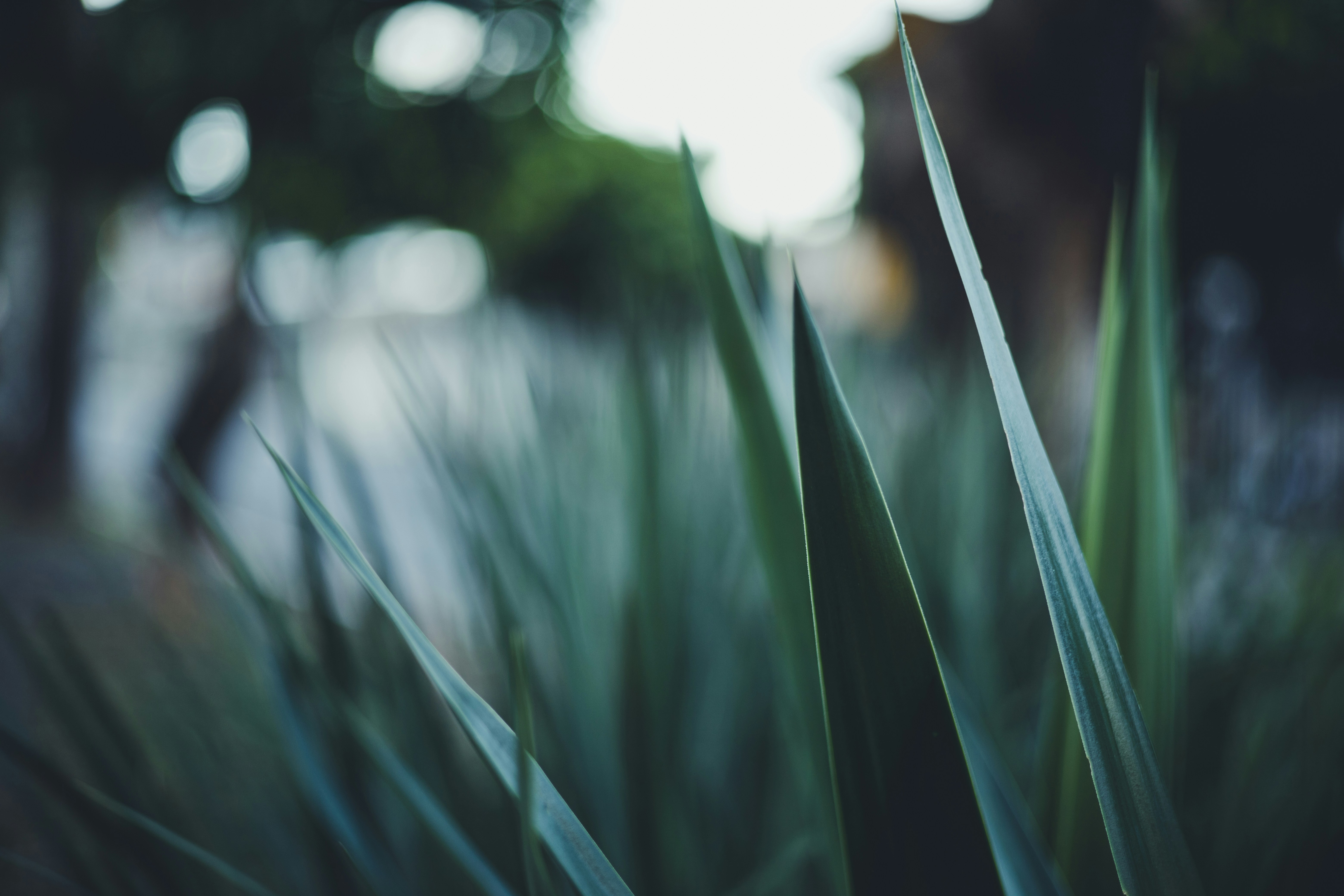 Photo by rrodriguesim