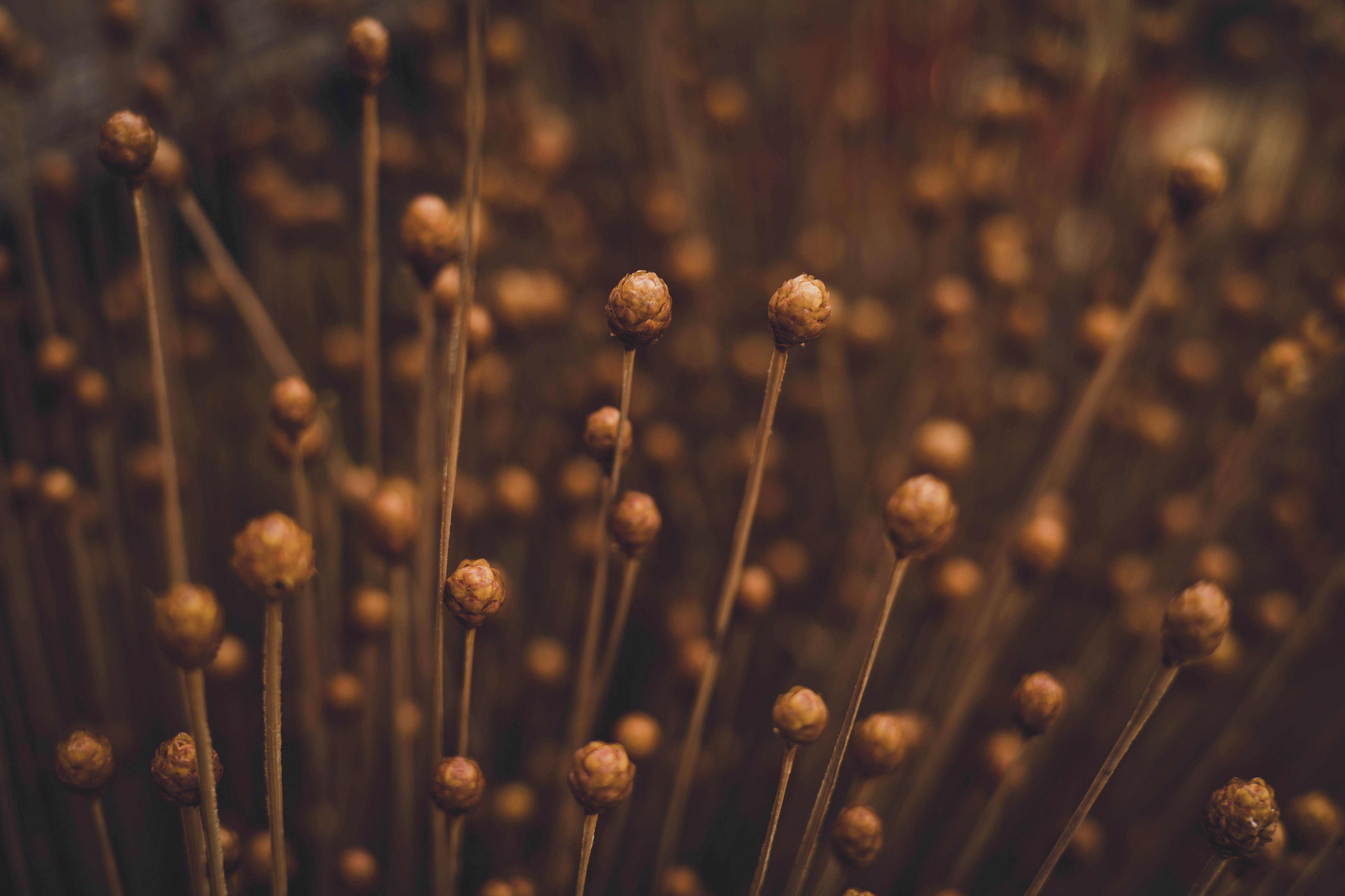 Photo by rrodriguesim