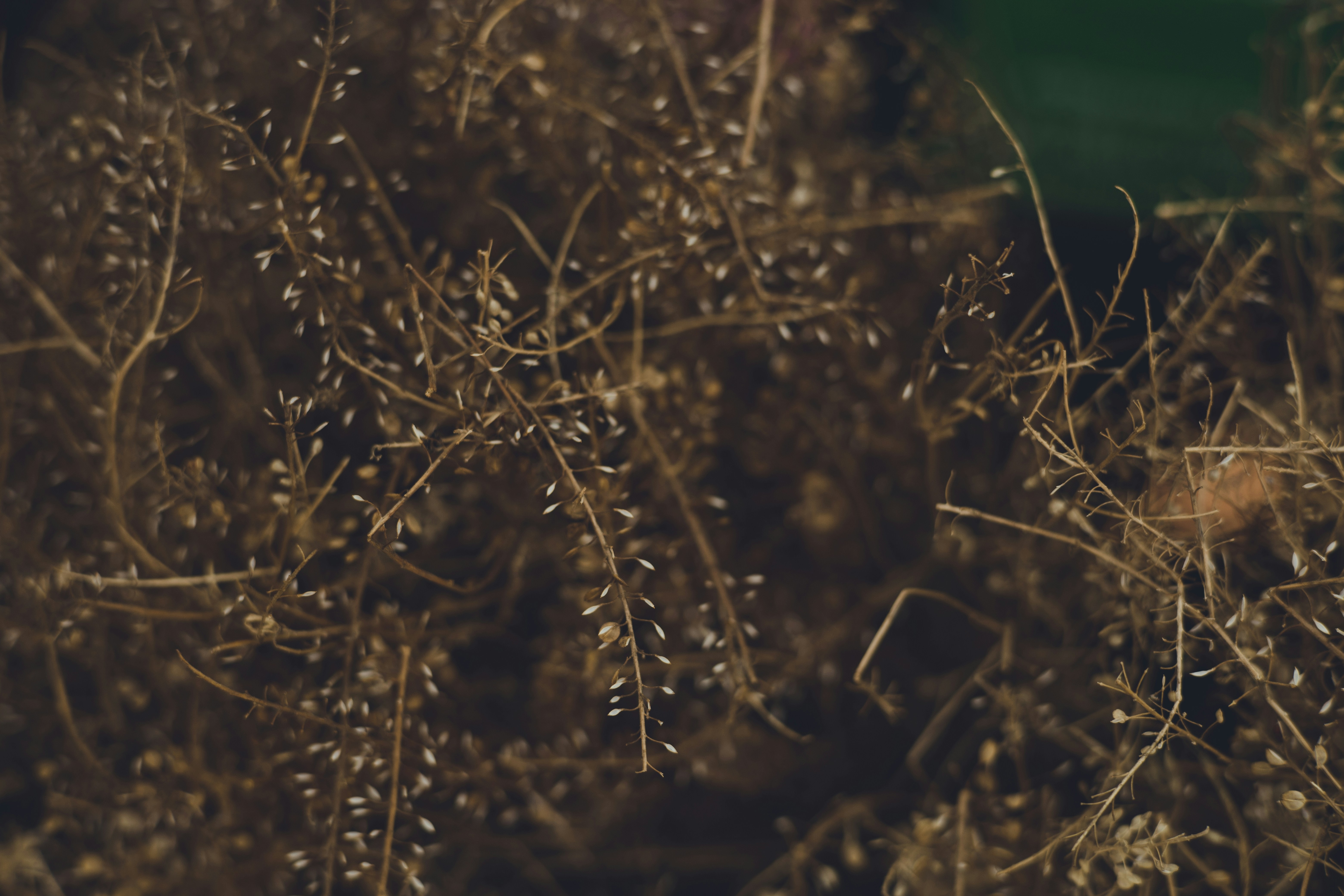 Photo by rrodriguesim